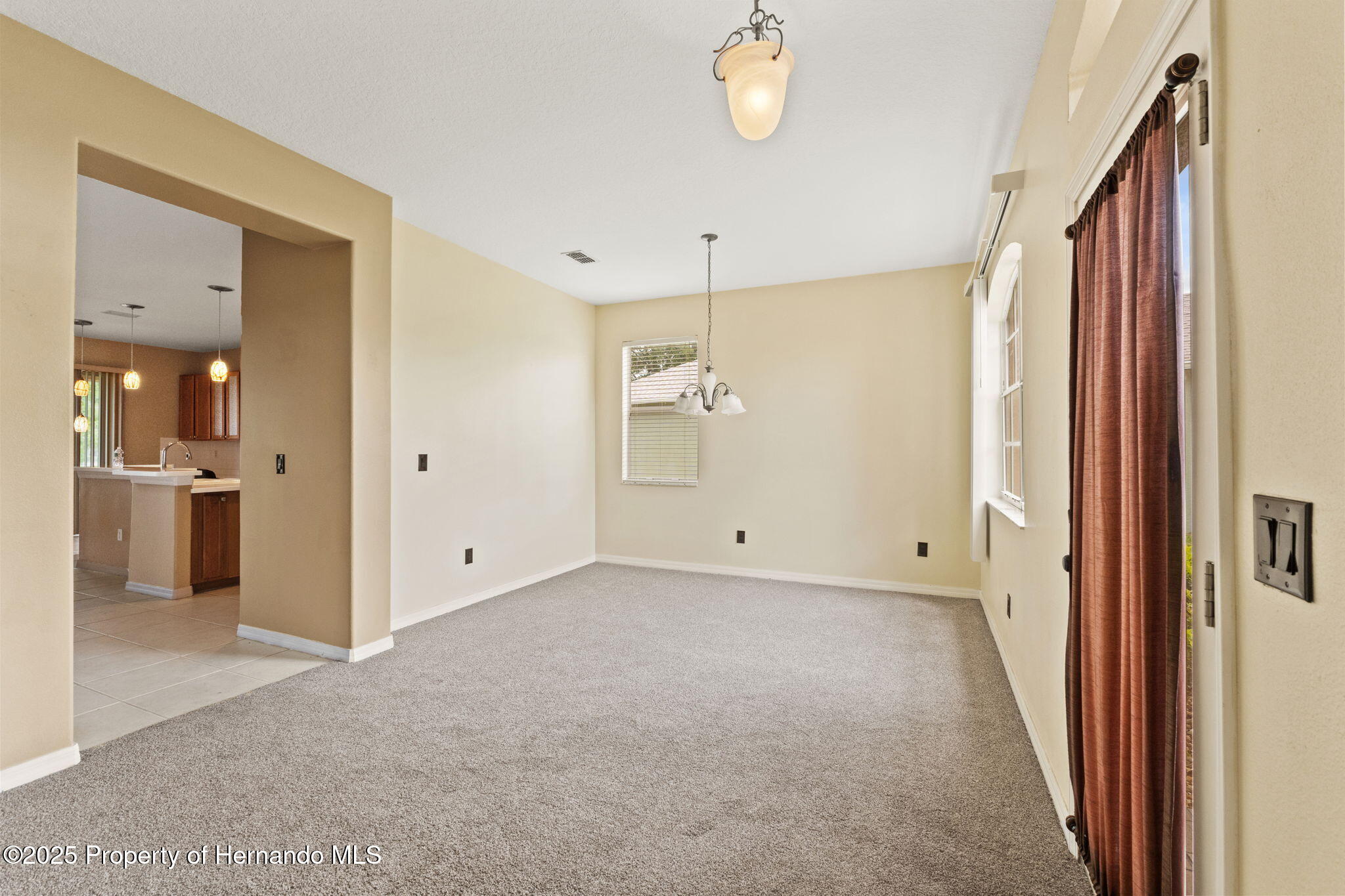 4335 Canongate Court, Spring Hill, Florida image 5