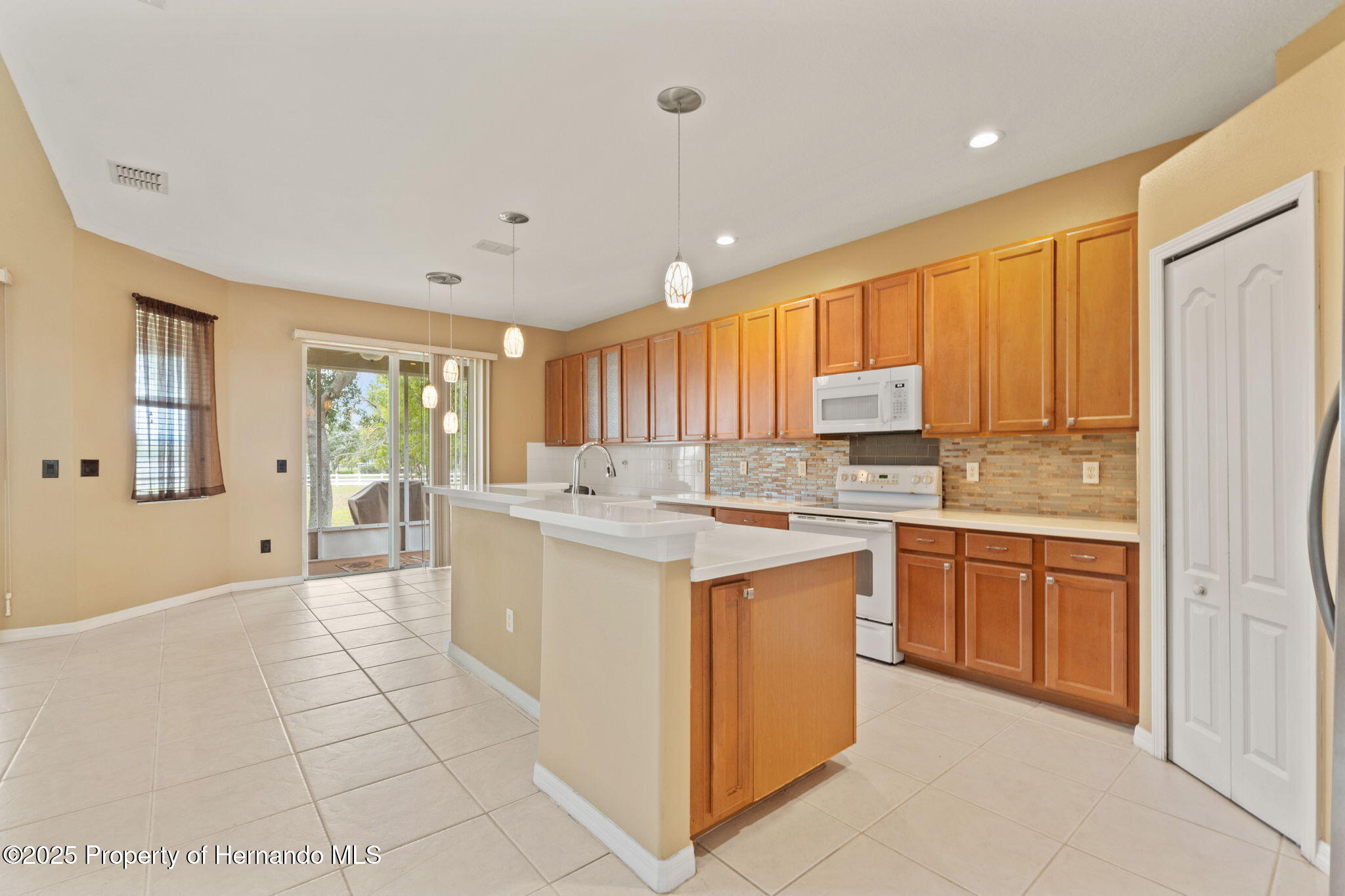 4335 Canongate Court, Spring Hill, Florida image 17