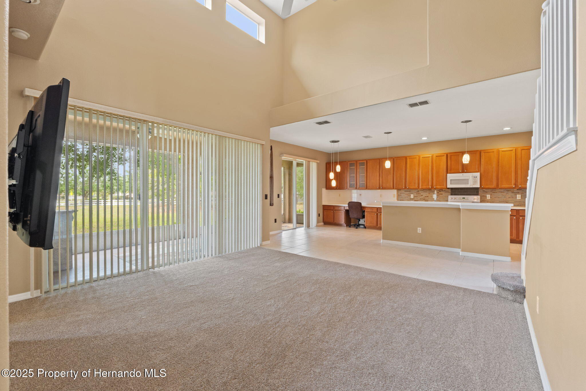 4335 Canongate Court, Spring Hill, Florida image 10