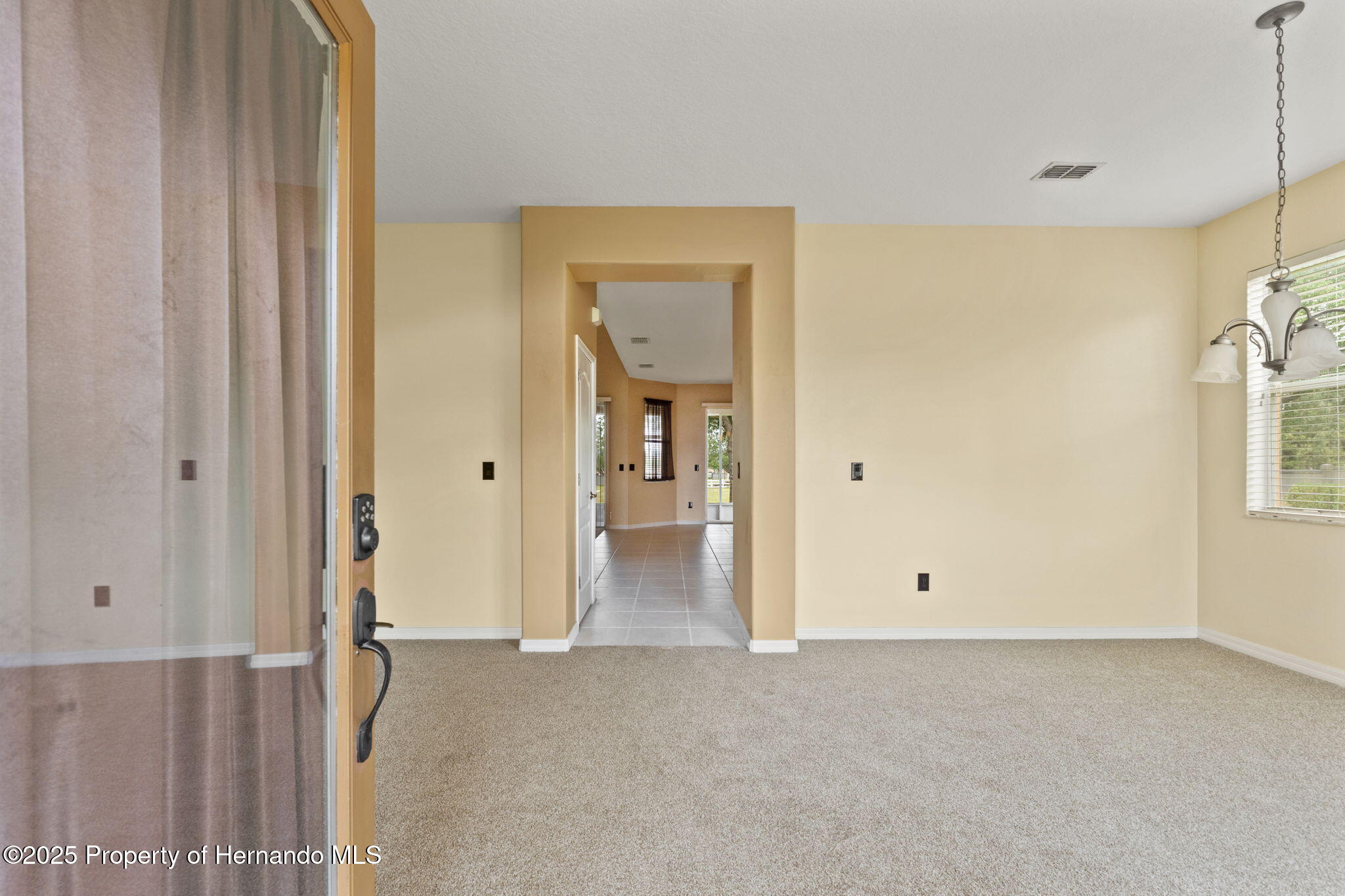 4335 Canongate Court, Spring Hill, Florida image 40