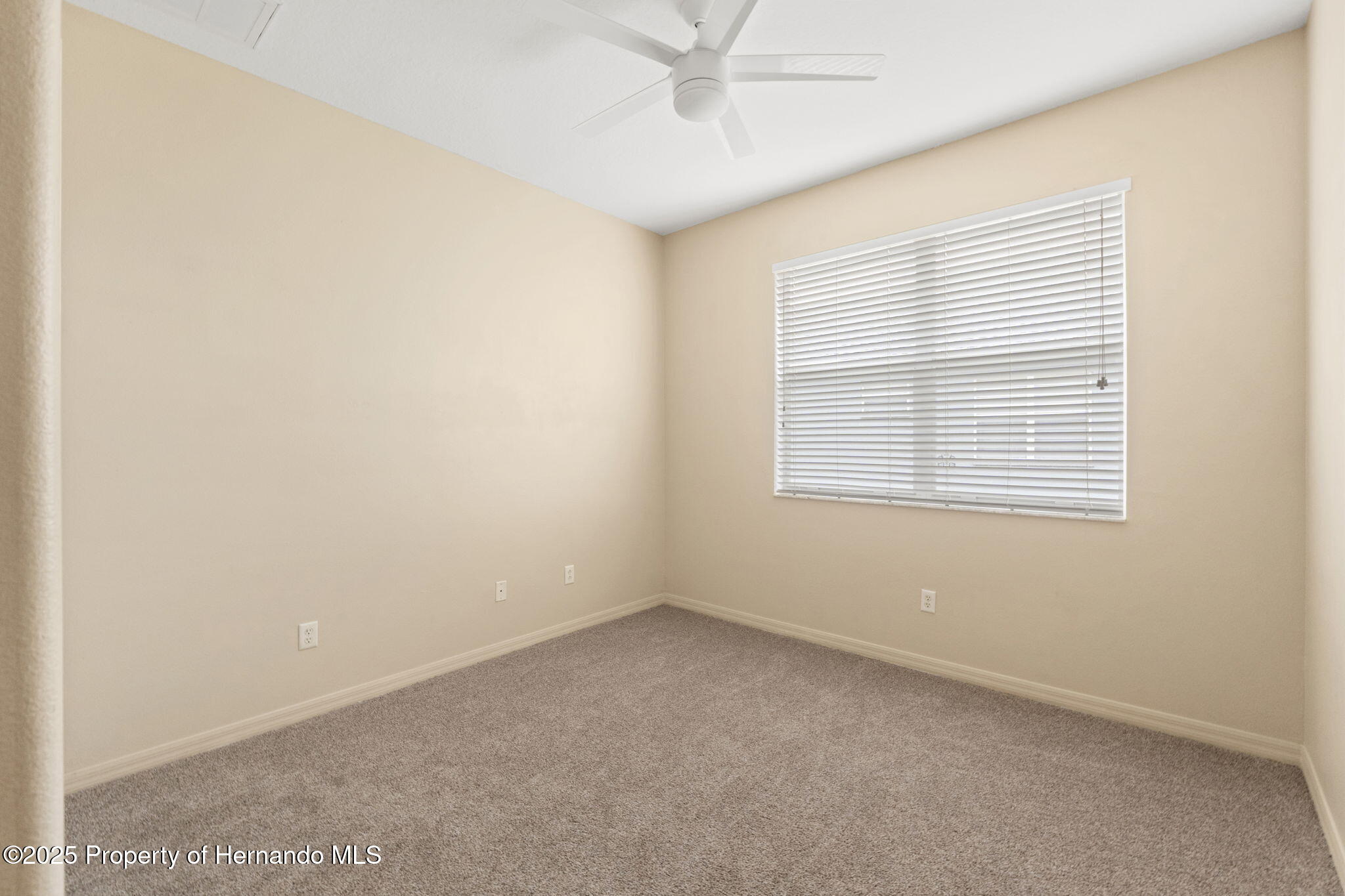 4335 Canongate Court, Spring Hill, Florida image 29