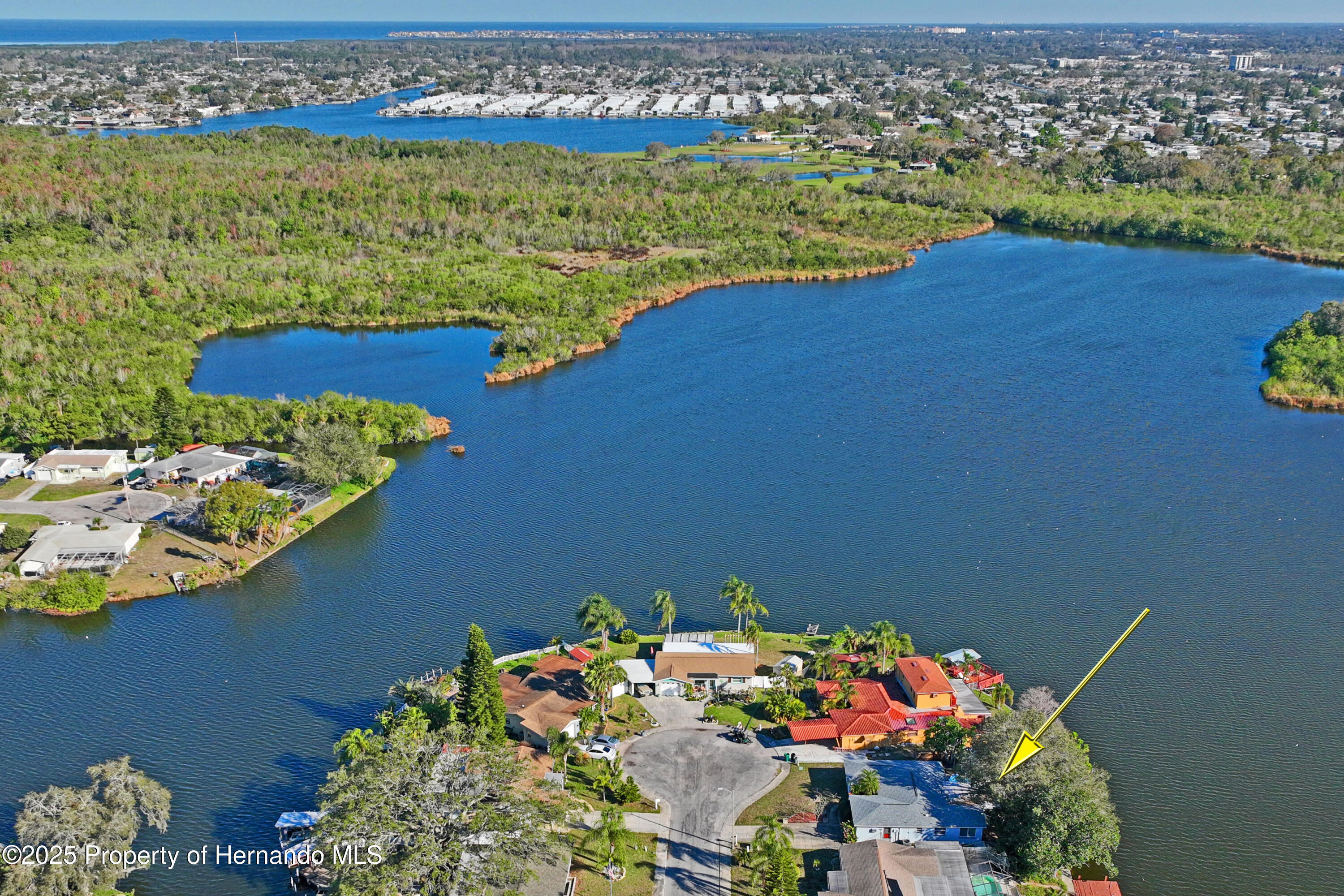 1214 Stover Court, Holiday, Florida image 11
