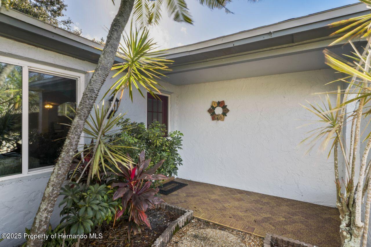 1214 Stover Court, Holiday, Florida image 8