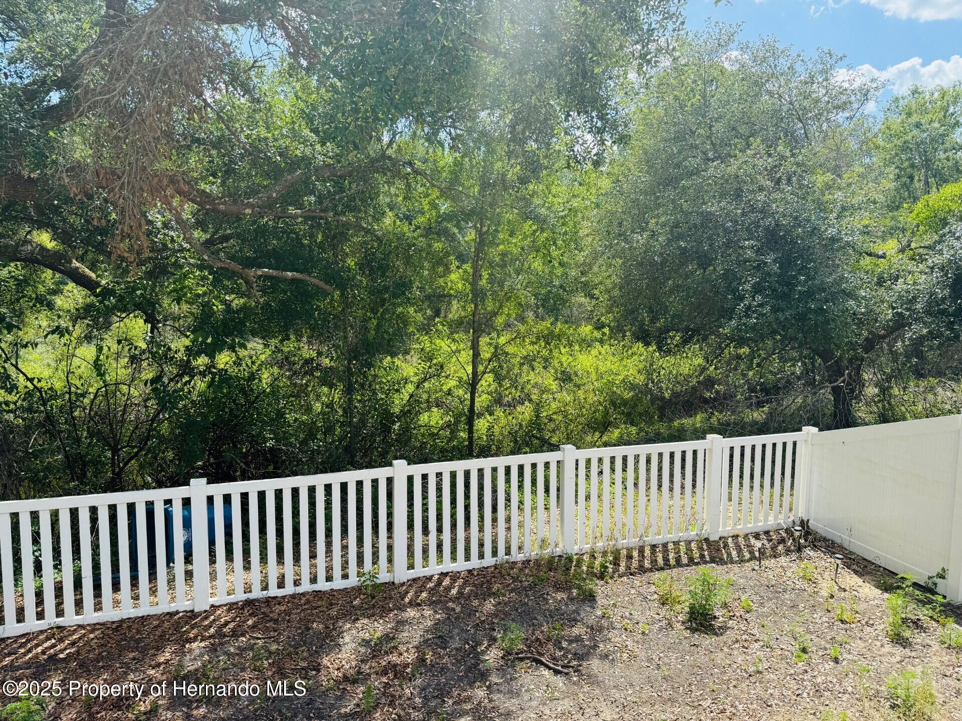 4319 Pocahontas Drive, Dade City, Florida image 3