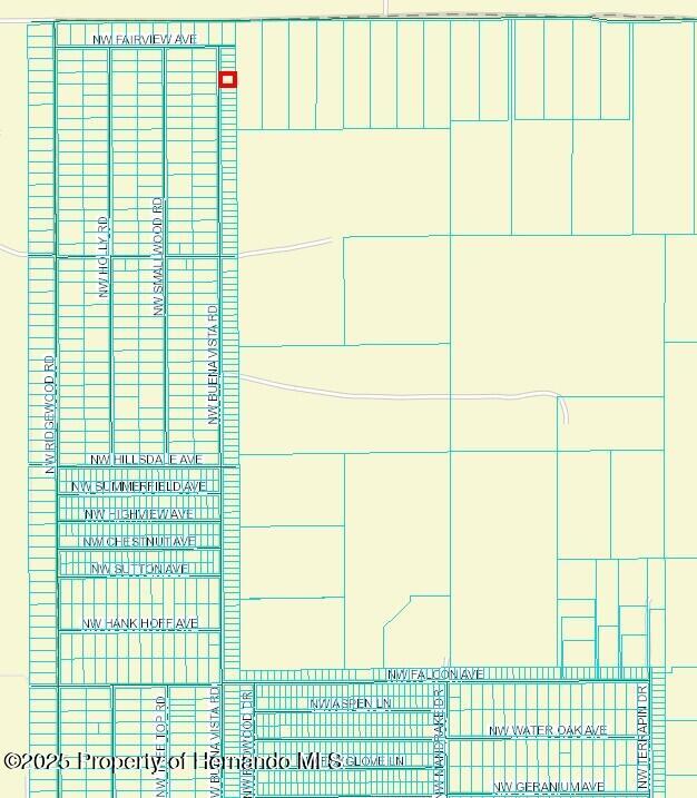 471348 Nw Buena Vista Road, Dunnellon, Florida image 2