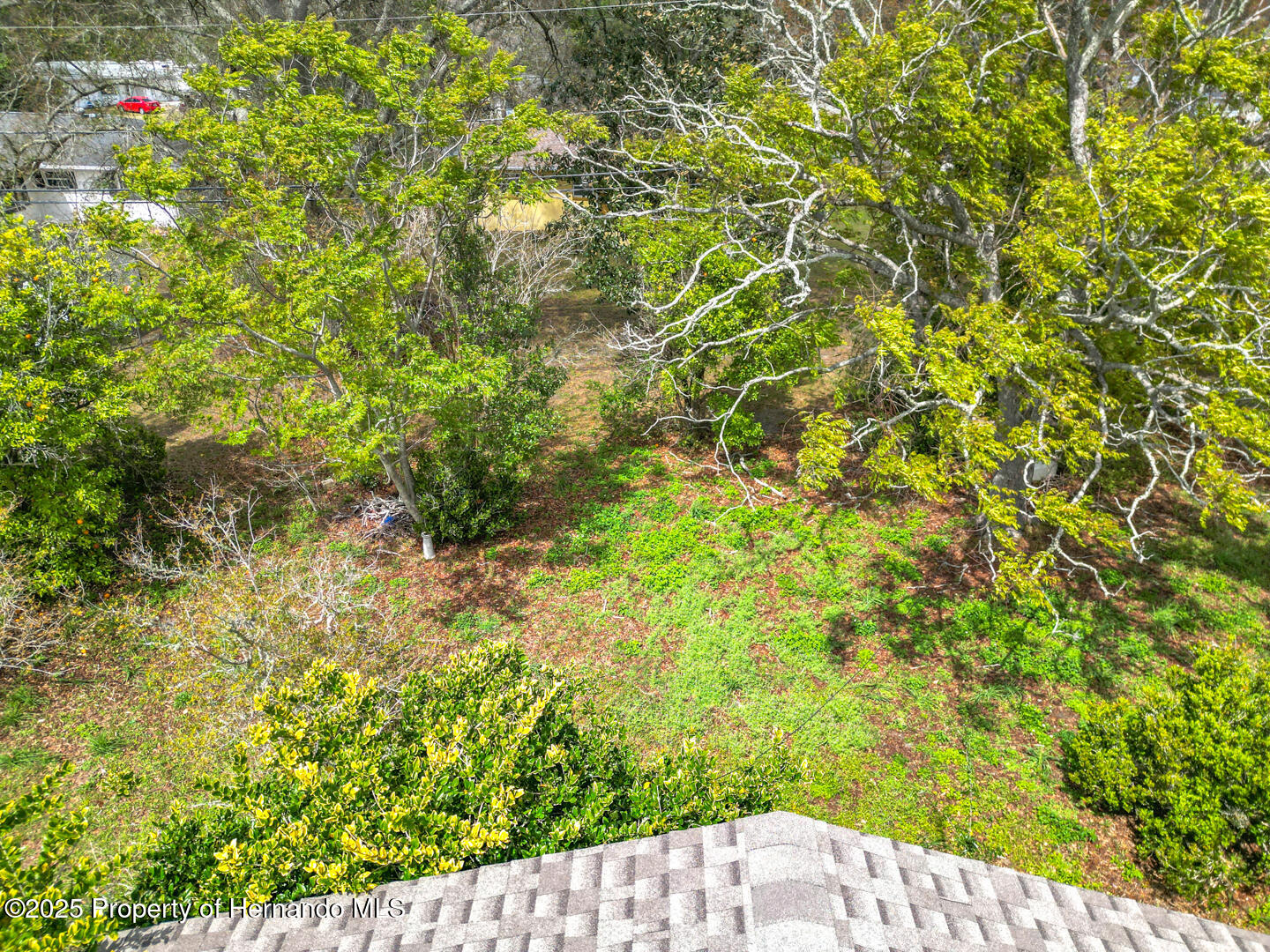 5 Montana Street, Beverly Hills, Florida image 35