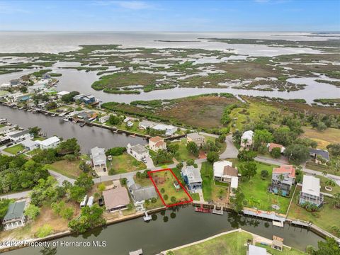 Vacant Land For Sale - 3468 Minnow Creek Drive<br/> HERNANDO BEACH, FL 34607