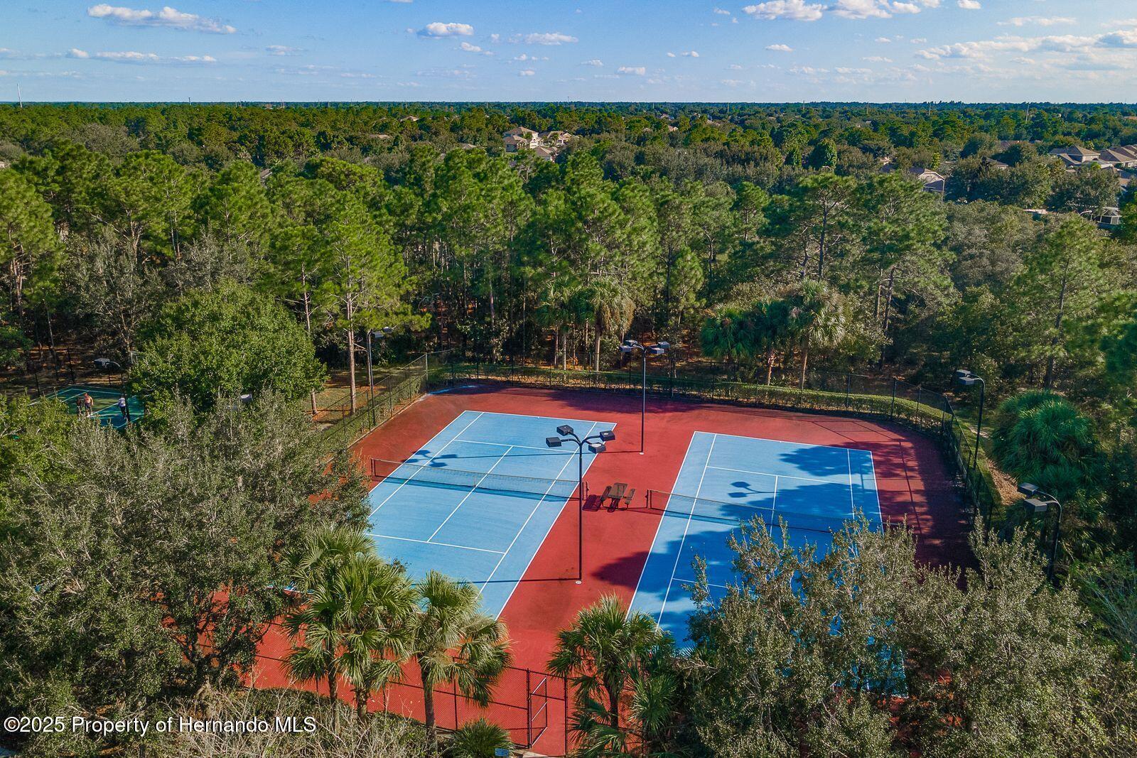 13637 Blythewood Drive, Spring Hill, Florida image 44