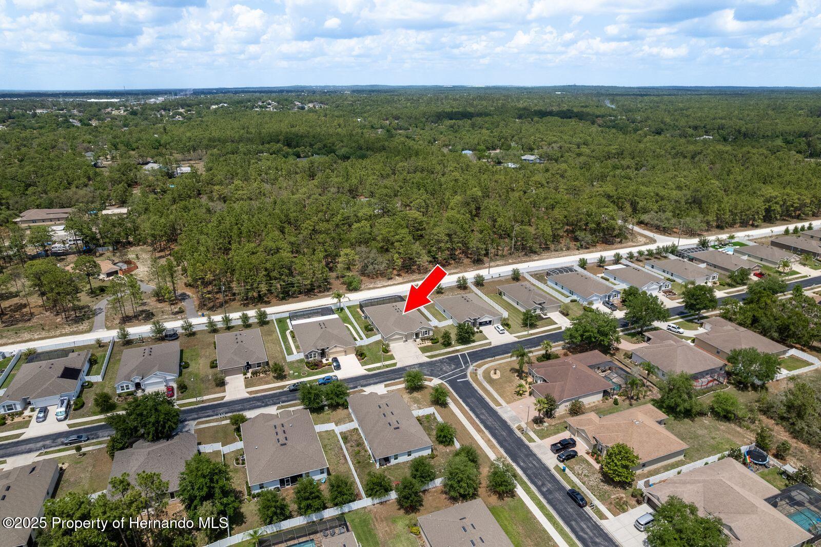 13637 Blythewood Drive, Spring Hill, Florida image 3