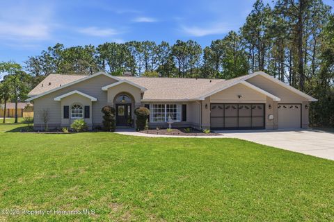 Homes For Sale - 11432 Hyde Park Way<br/> Spring Hill, FL 34609