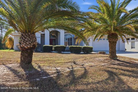 Homes For Sale - 9240 Butler Boulevard<br/> Hernando County, Spring Hill, FL 34613