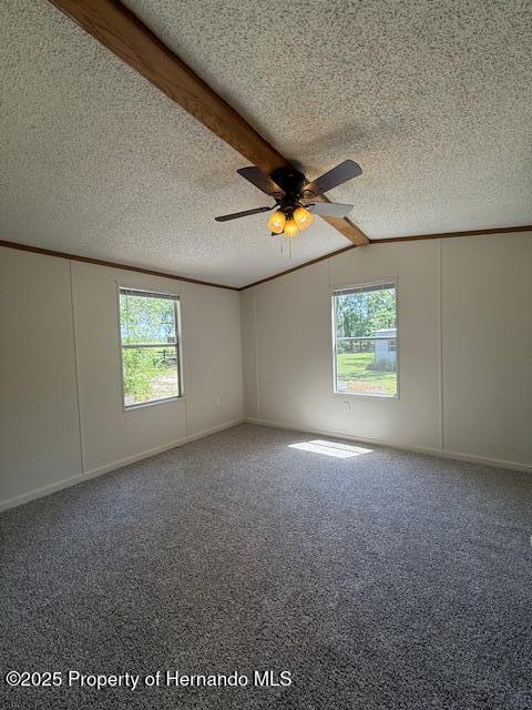 7472 Wpa Road, Brooksville, Florida image 14