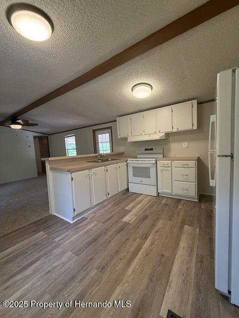 7472 Wpa Road, Brooksville, Florida image 11
