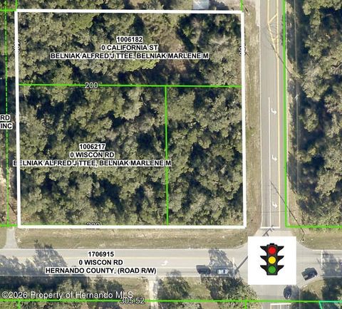 Vacant Land For Sale - Wiscon Road<br/> Brooksville, FL 34601