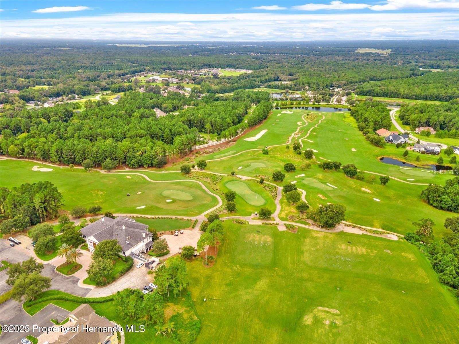 20132 English Walnut Place, Brooksville, Florida image 19