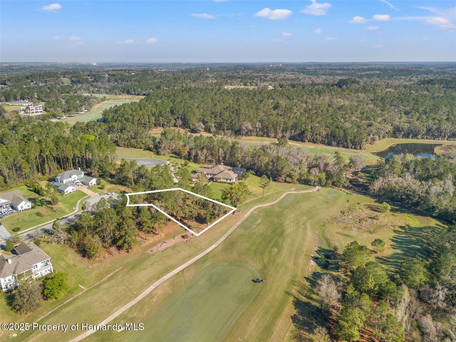 20132 English Walnut Place, Brooksville, Florida image 4