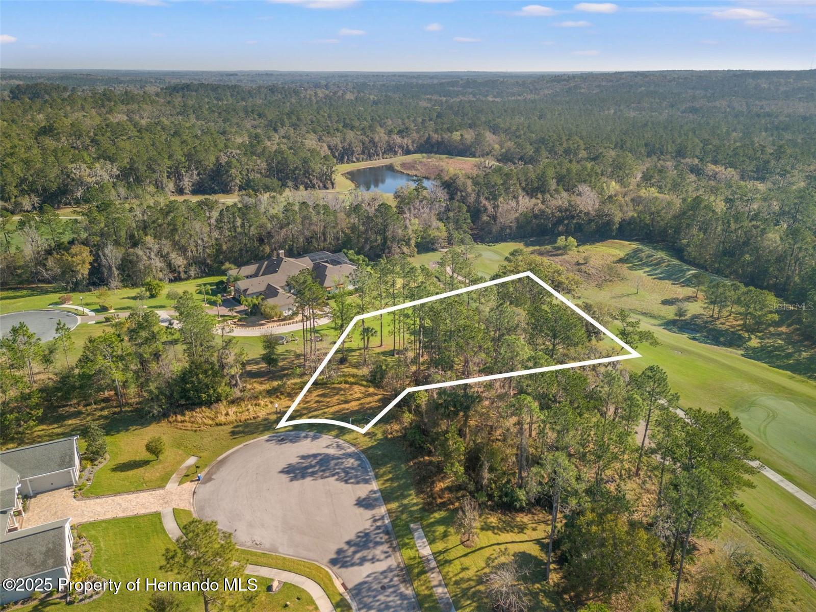 20132 English Walnut Place, Brooksville, Florida image 2