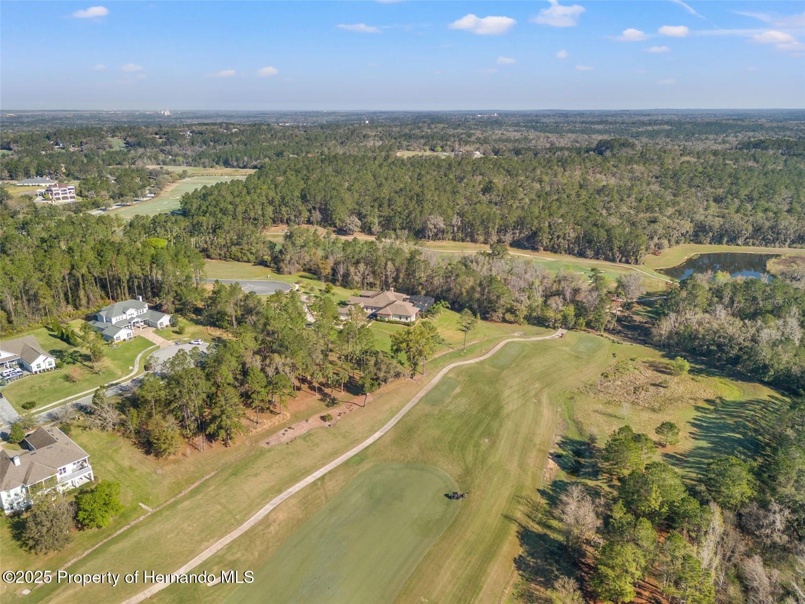 20132 English Walnut Place, Brooksville, Florida image 12
