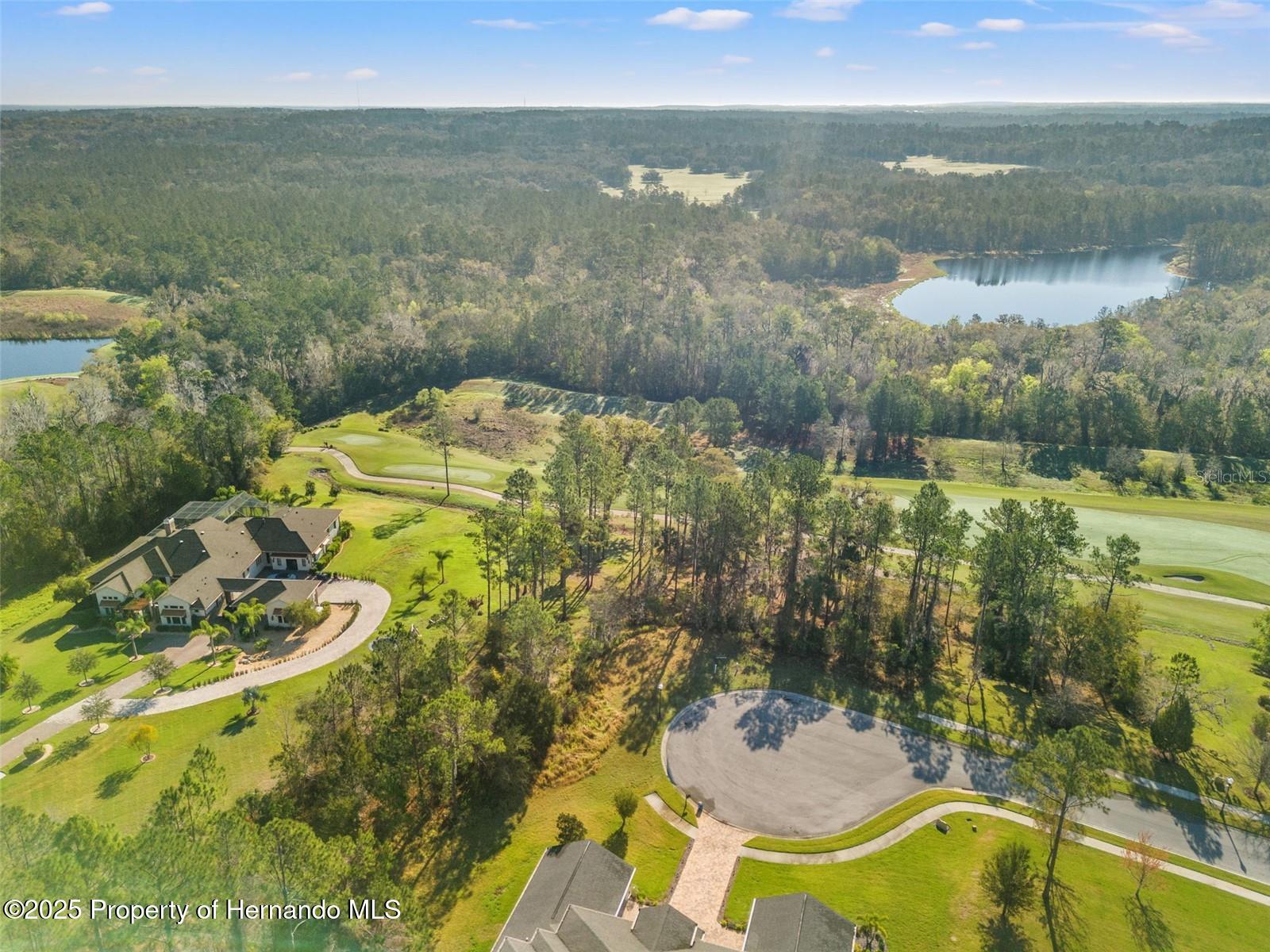 20132 English Walnut Place, Brooksville, Florida image 11