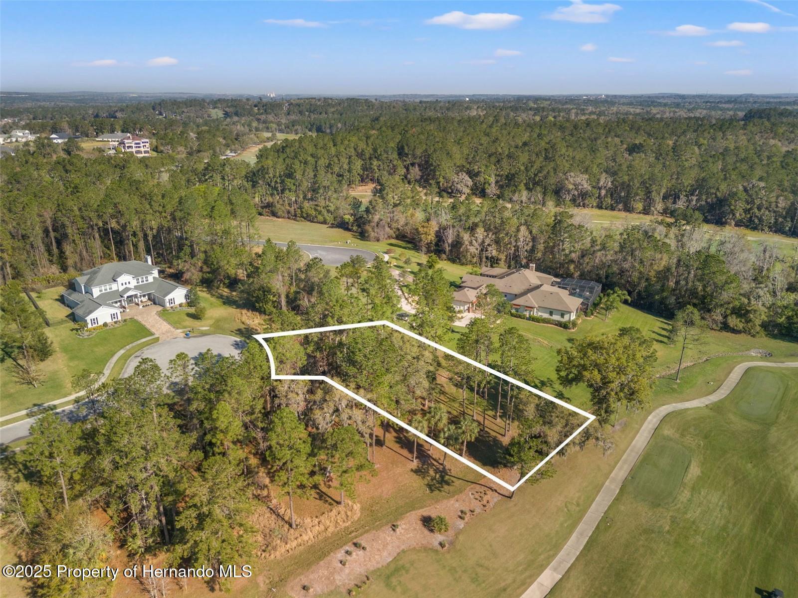 20132 English Walnut Place, Brooksville, Florida image 8