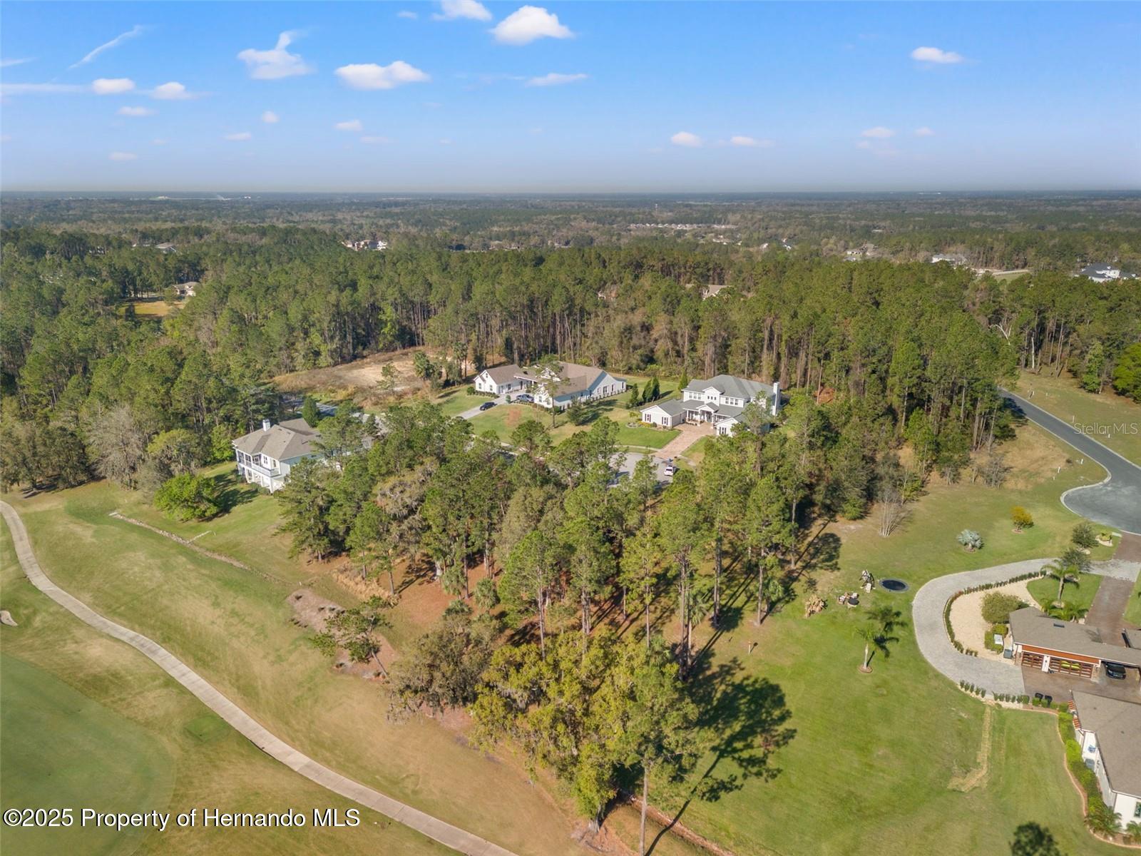 20132 English Walnut Place, Brooksville, Florida image 3