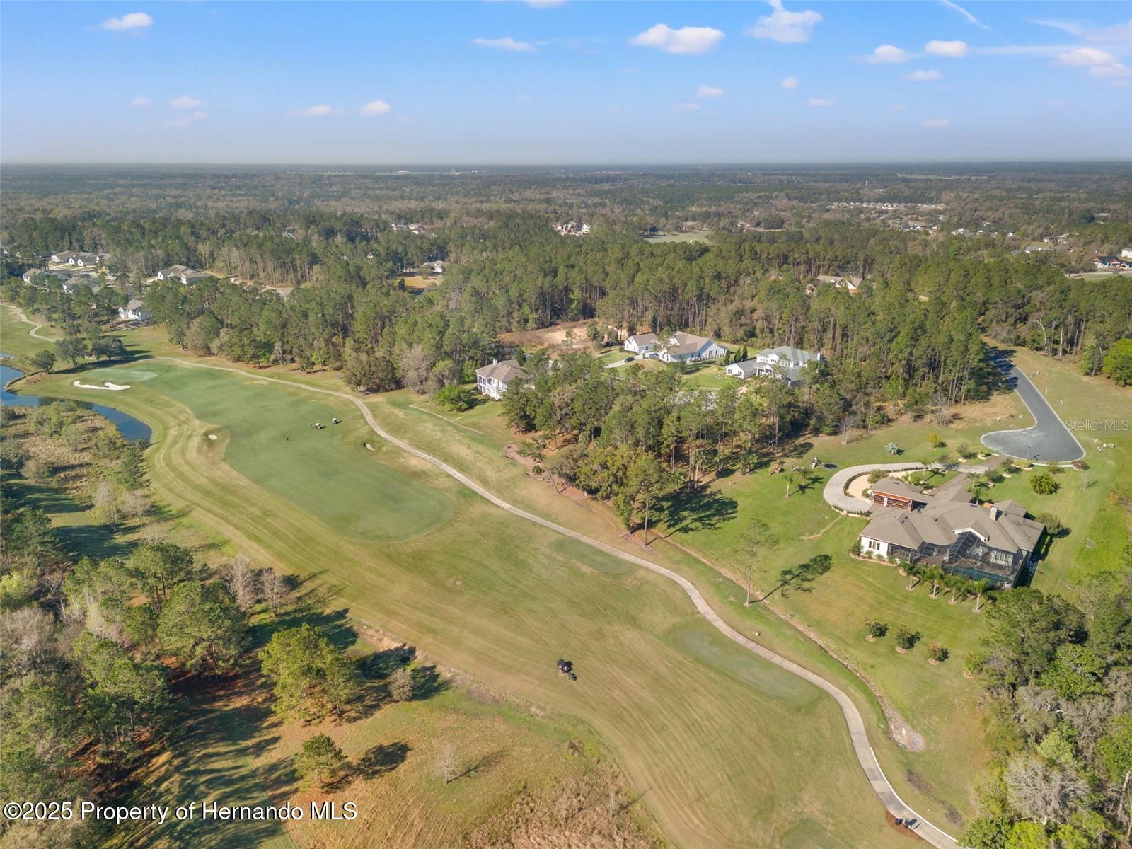 20132 English Walnut Place, Brooksville, Florida image 14