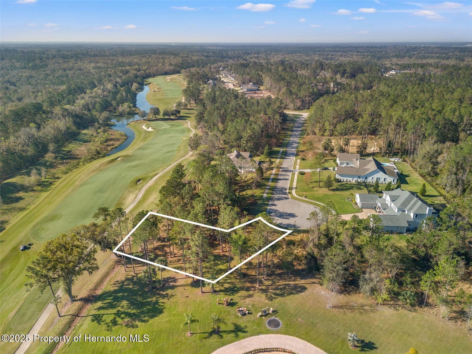 20132 English Walnut Place, Brooksville, Florida image 1