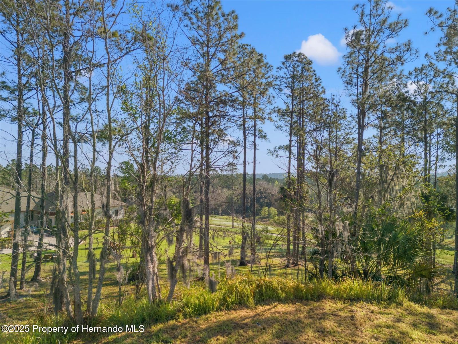 20132 English Walnut Place, Brooksville, Florida image 10