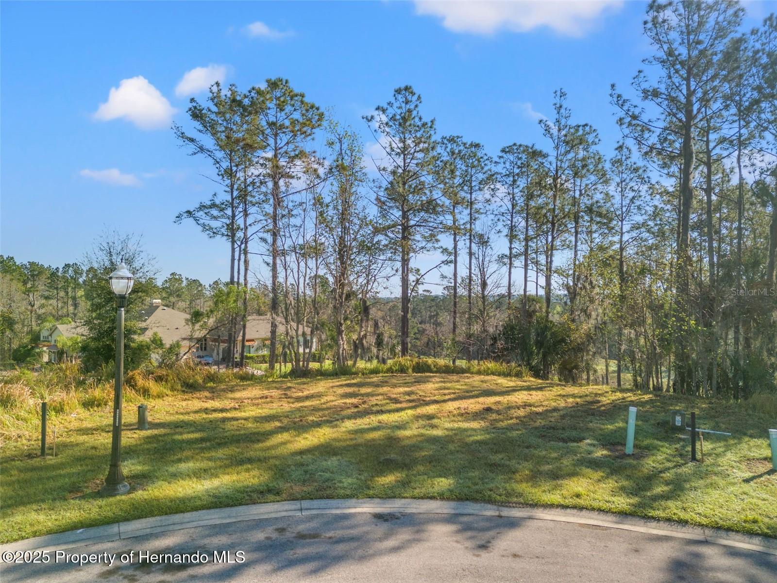 20132 English Walnut Place, Brooksville, Florida image 9
