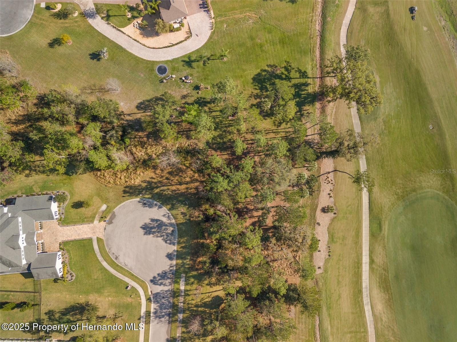 20132 English Walnut Place, Brooksville, Florida image 15