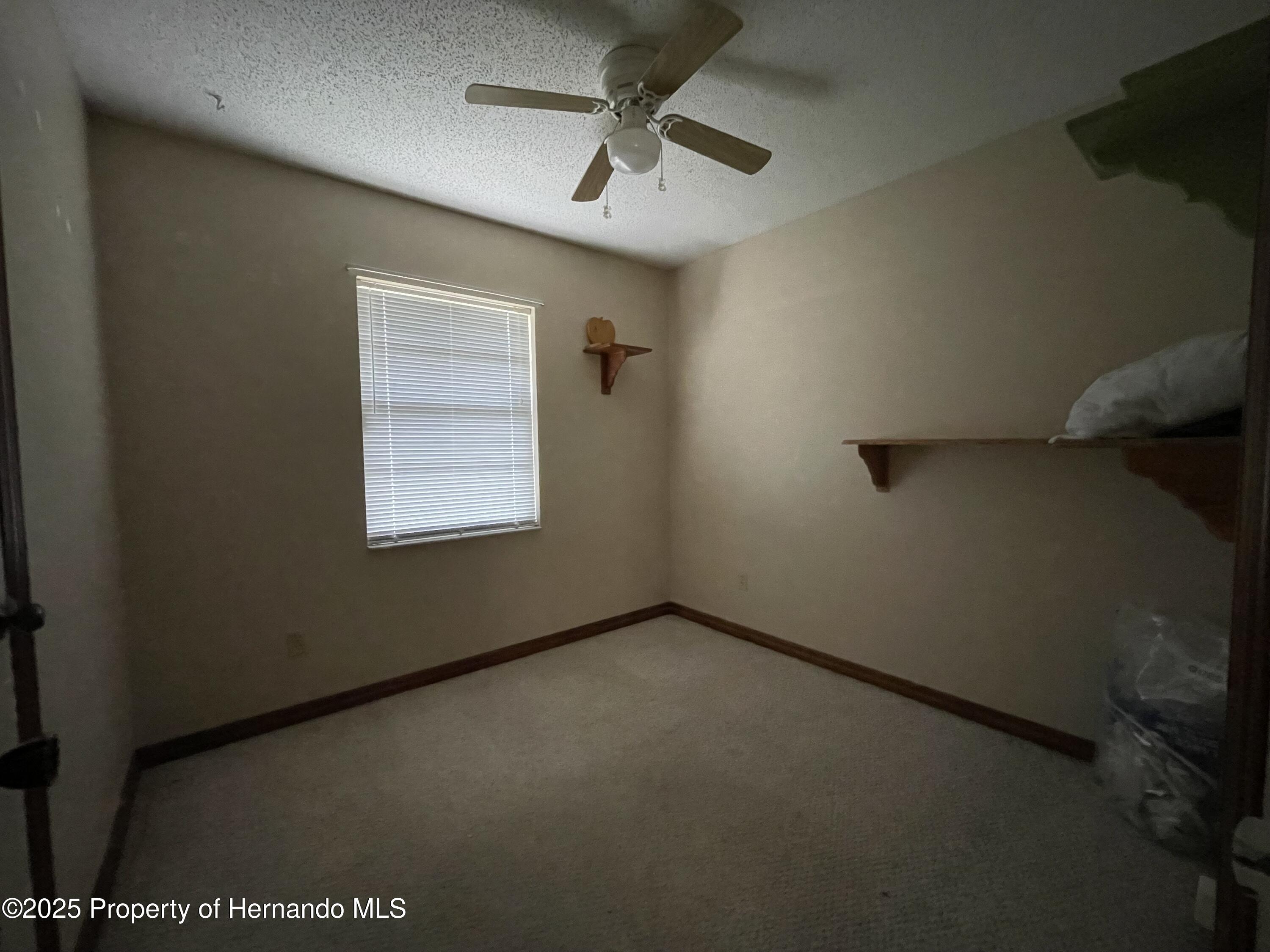6361 Boxwood Street, Brooksville, Florida image 16
