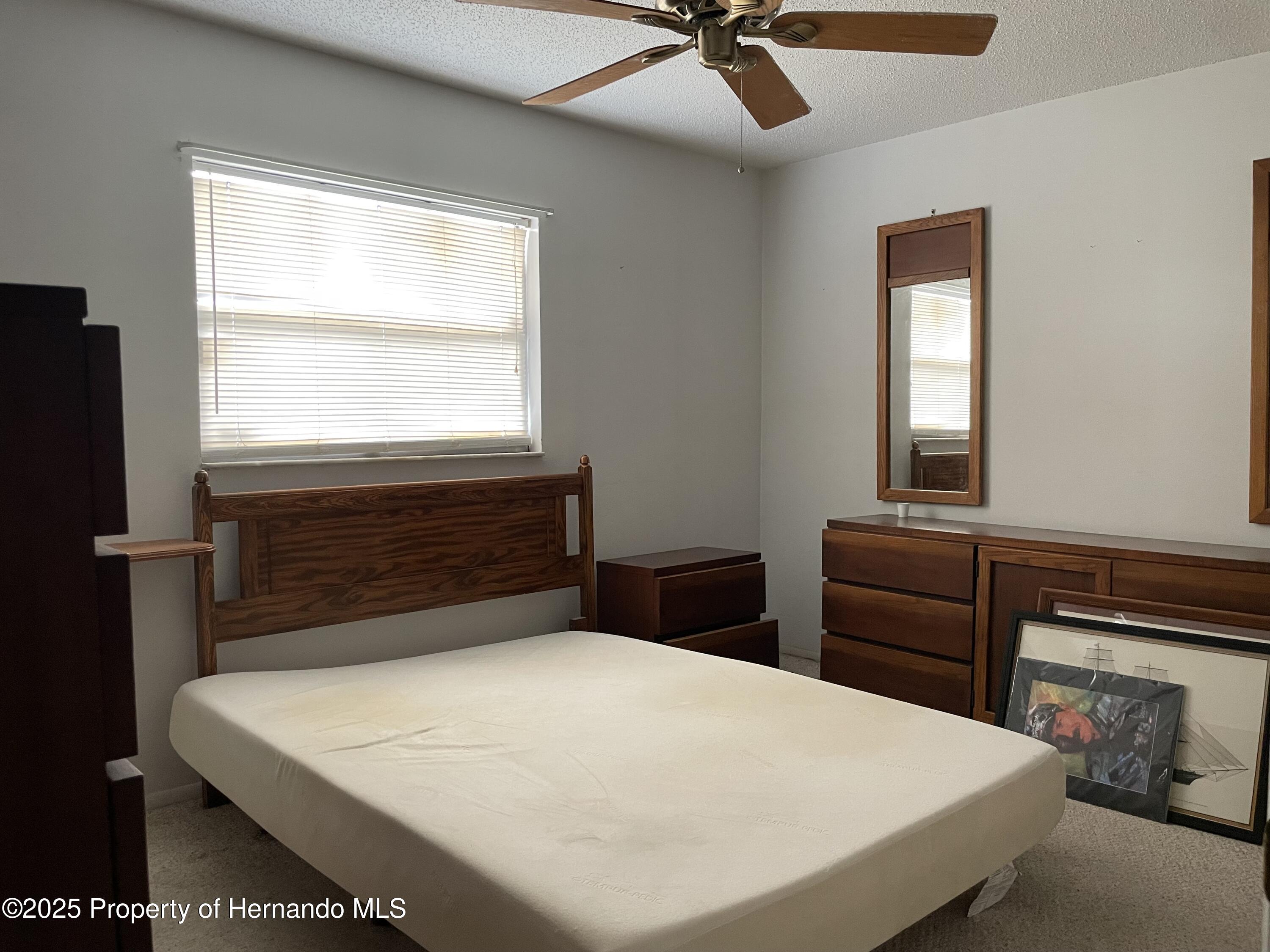 6361 Boxwood Street, Brooksville, Florida image 14
