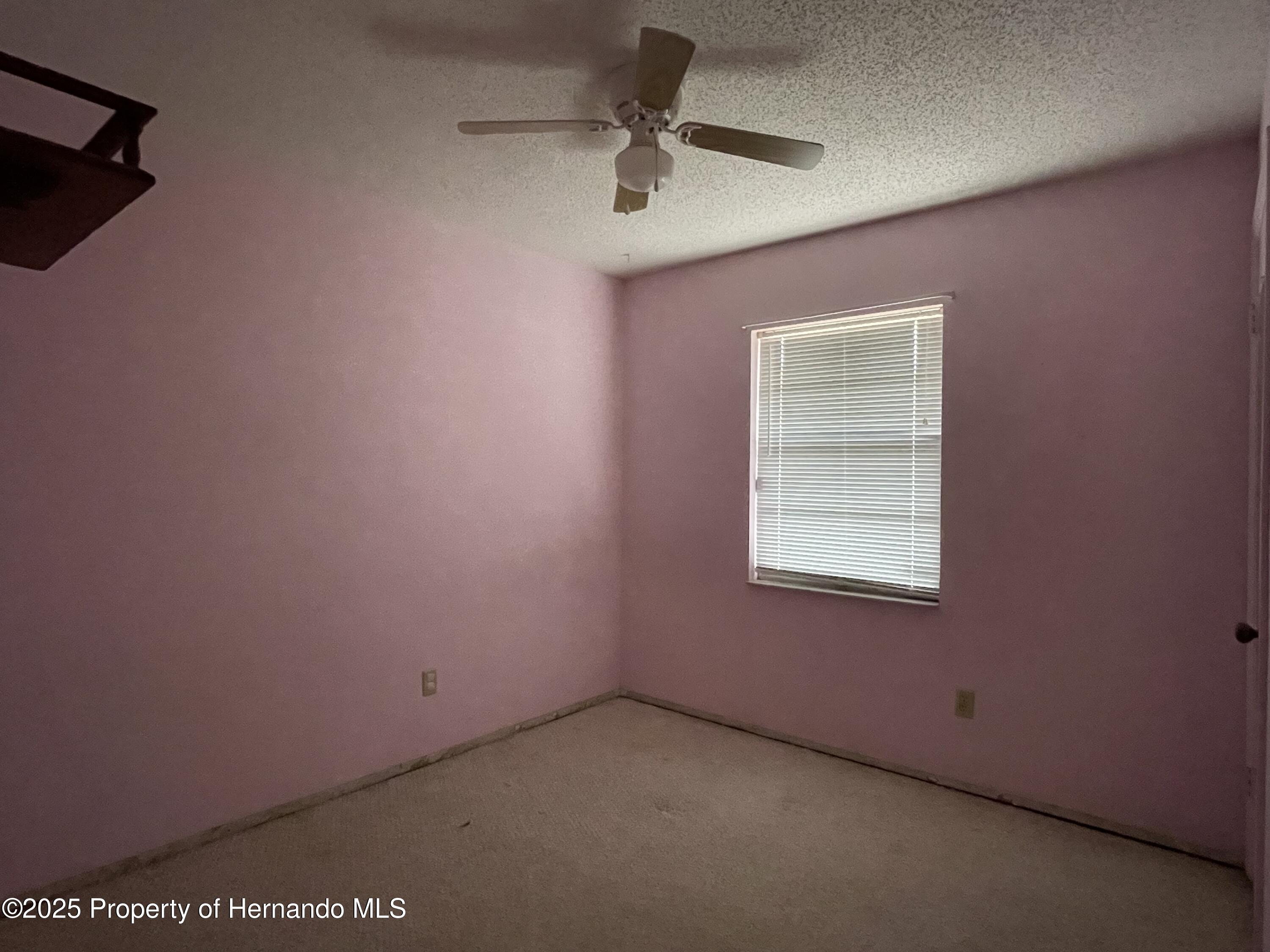 6361 Boxwood Street, Brooksville, Florida image 15