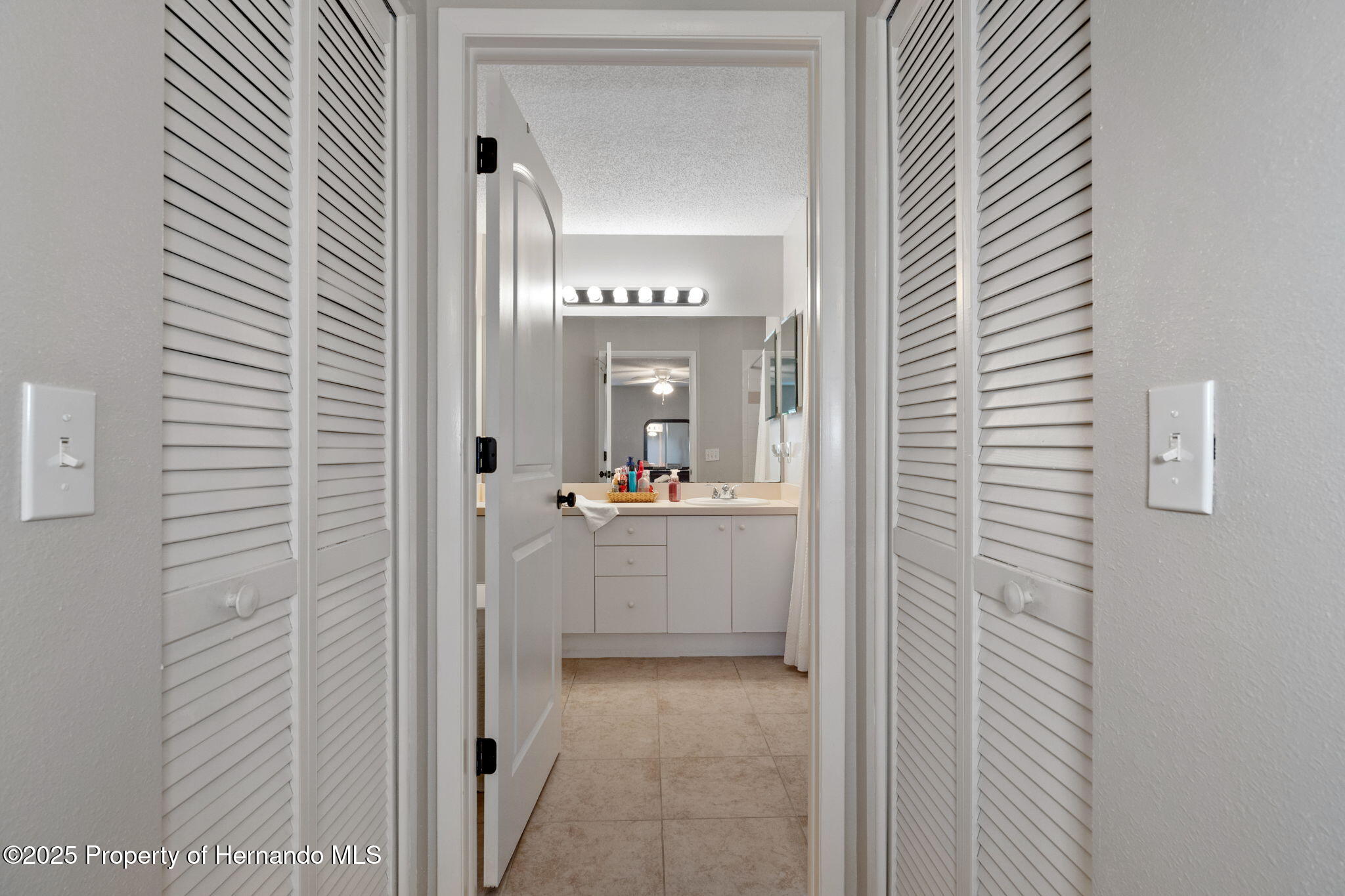 7423 Woodhollow Road, Spring Hill, Florida image 22