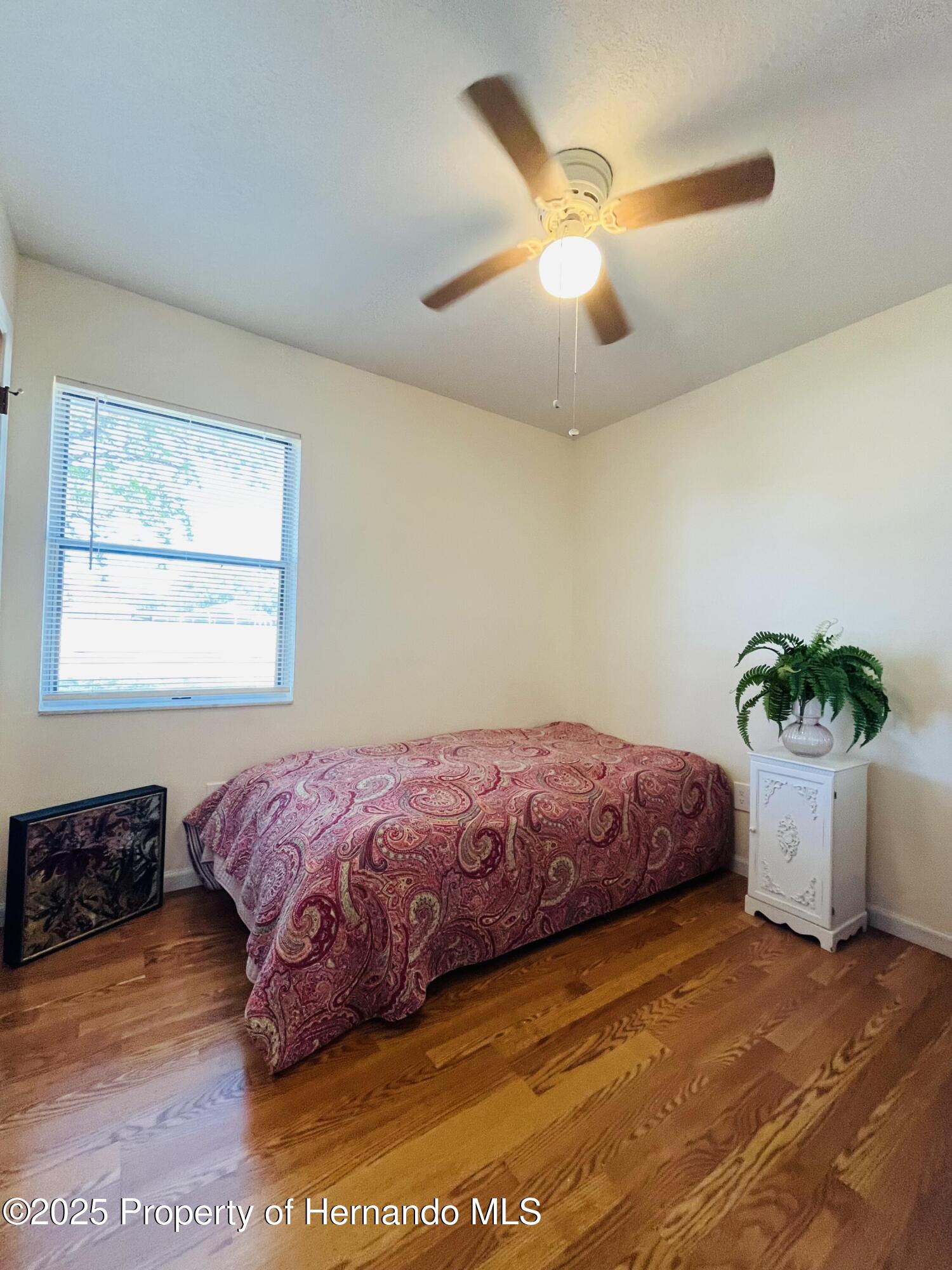 14212 Pomona Avenue, Spring Hill, Florida image 8