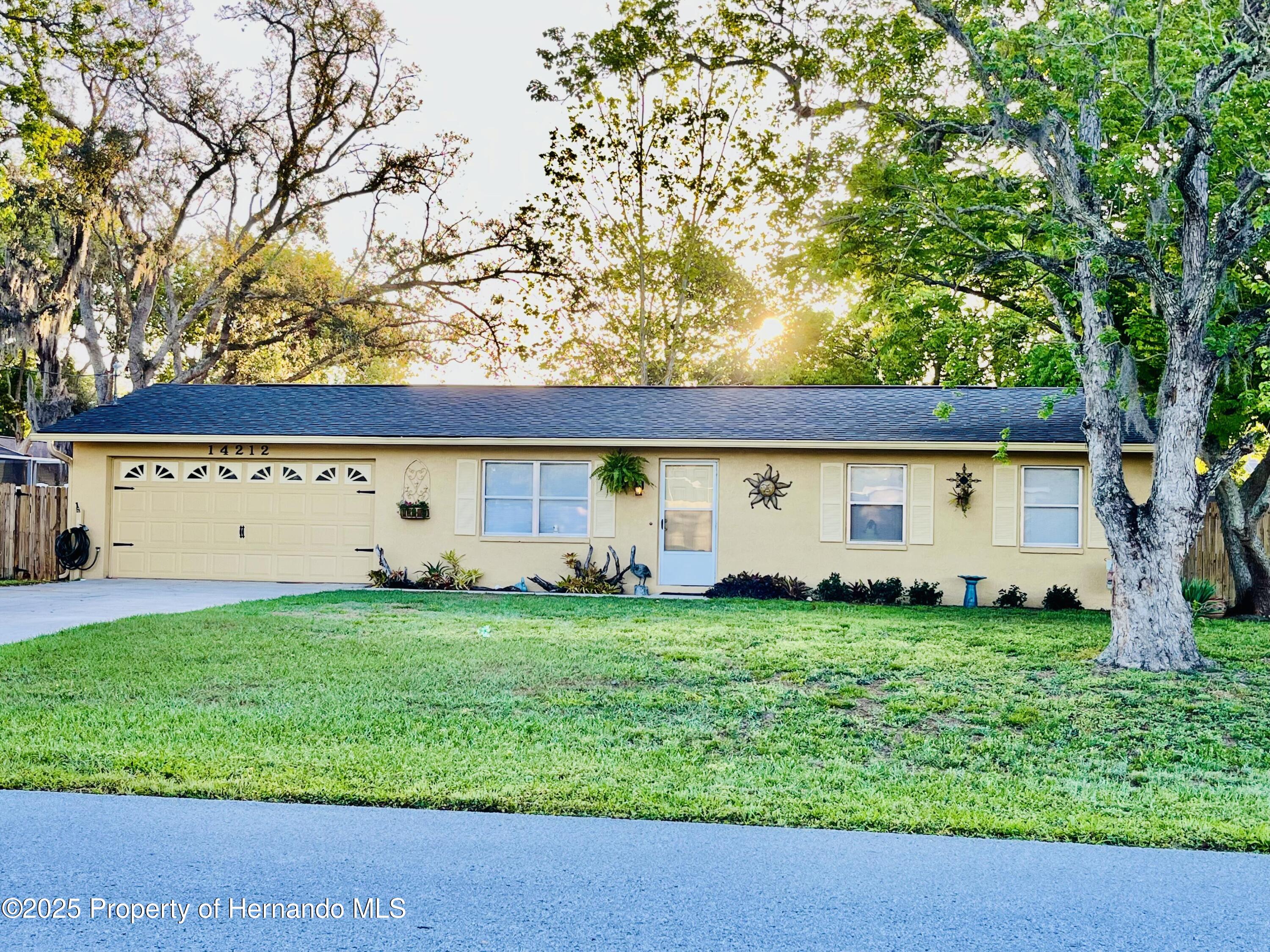 14212 Pomona Avenue, Spring Hill, Florida image 1