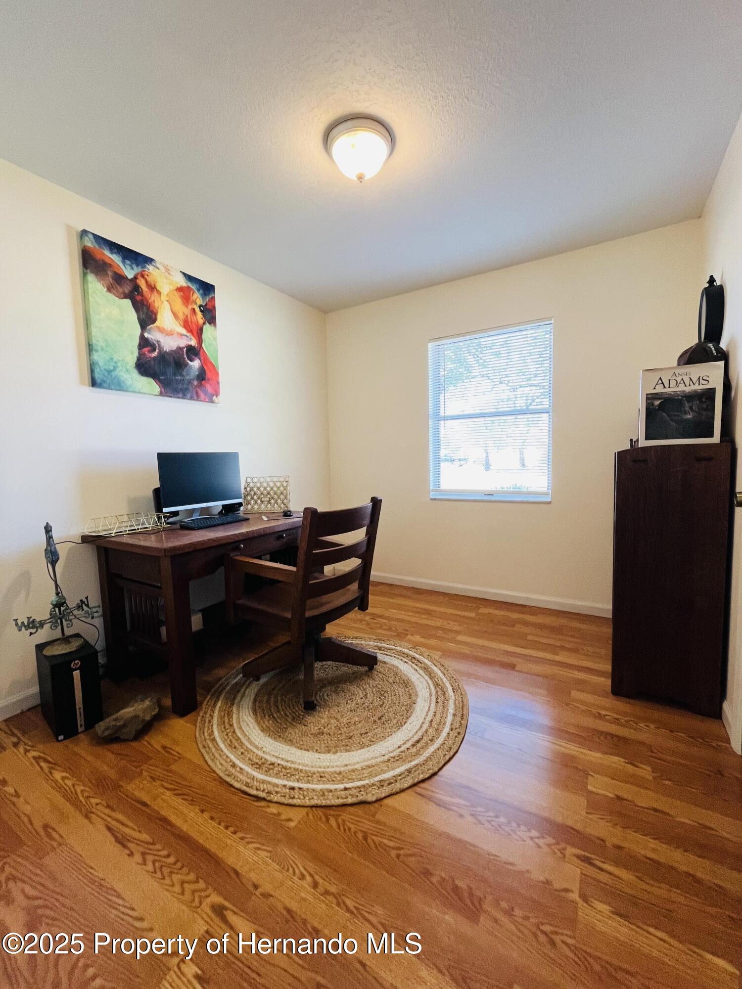 14212 Pomona Avenue, Spring Hill, Florida image 7