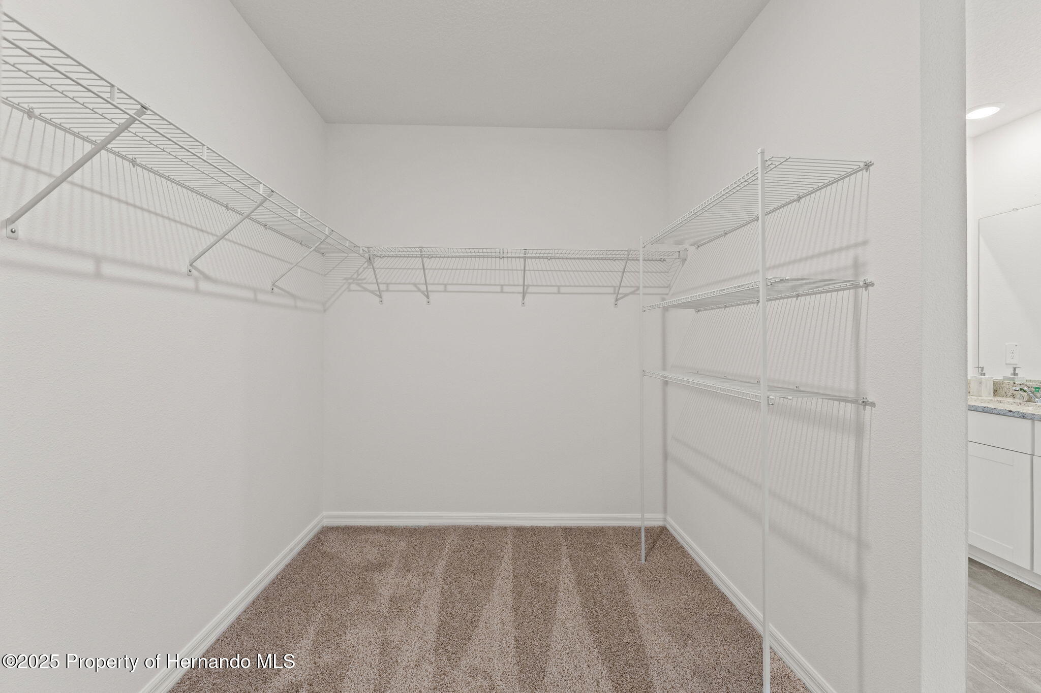 3637 Moscato, Brooksville, Florida image 40