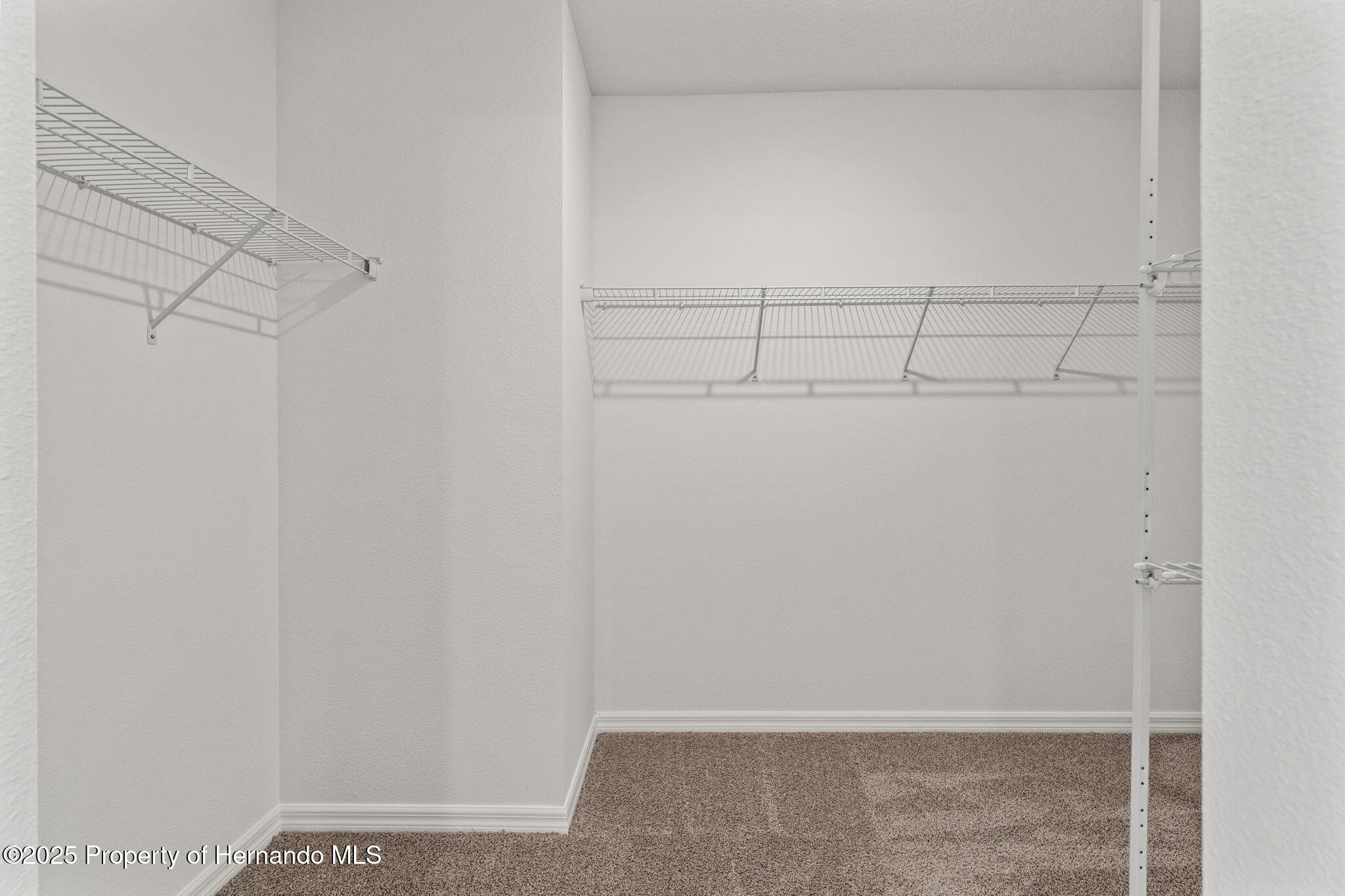 3637 Moscato, Brooksville, Florida image 39
