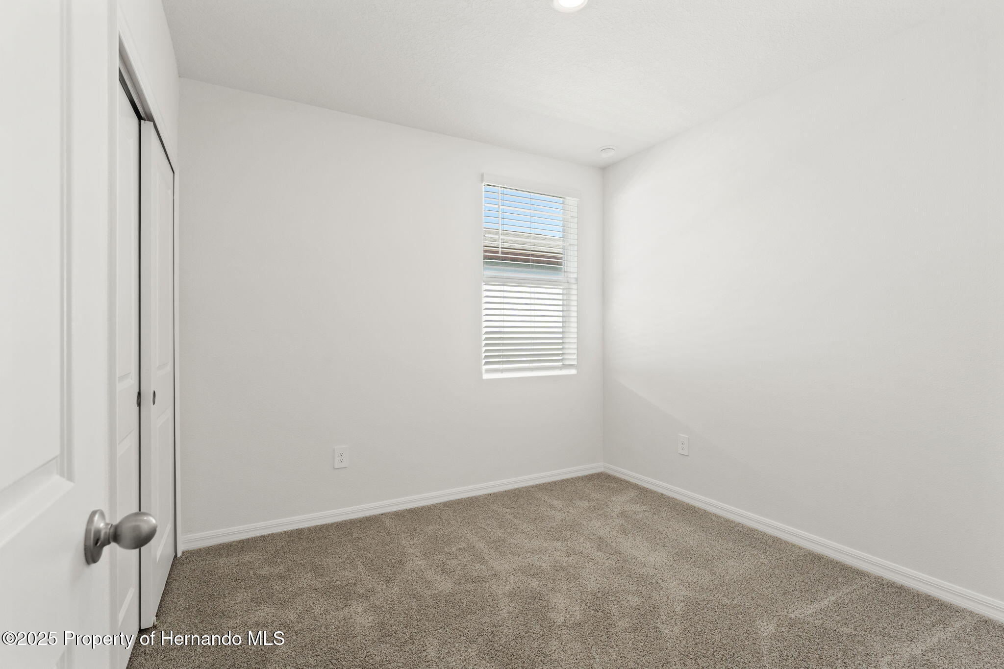 3637 Moscato, Brooksville, Florida image 29
