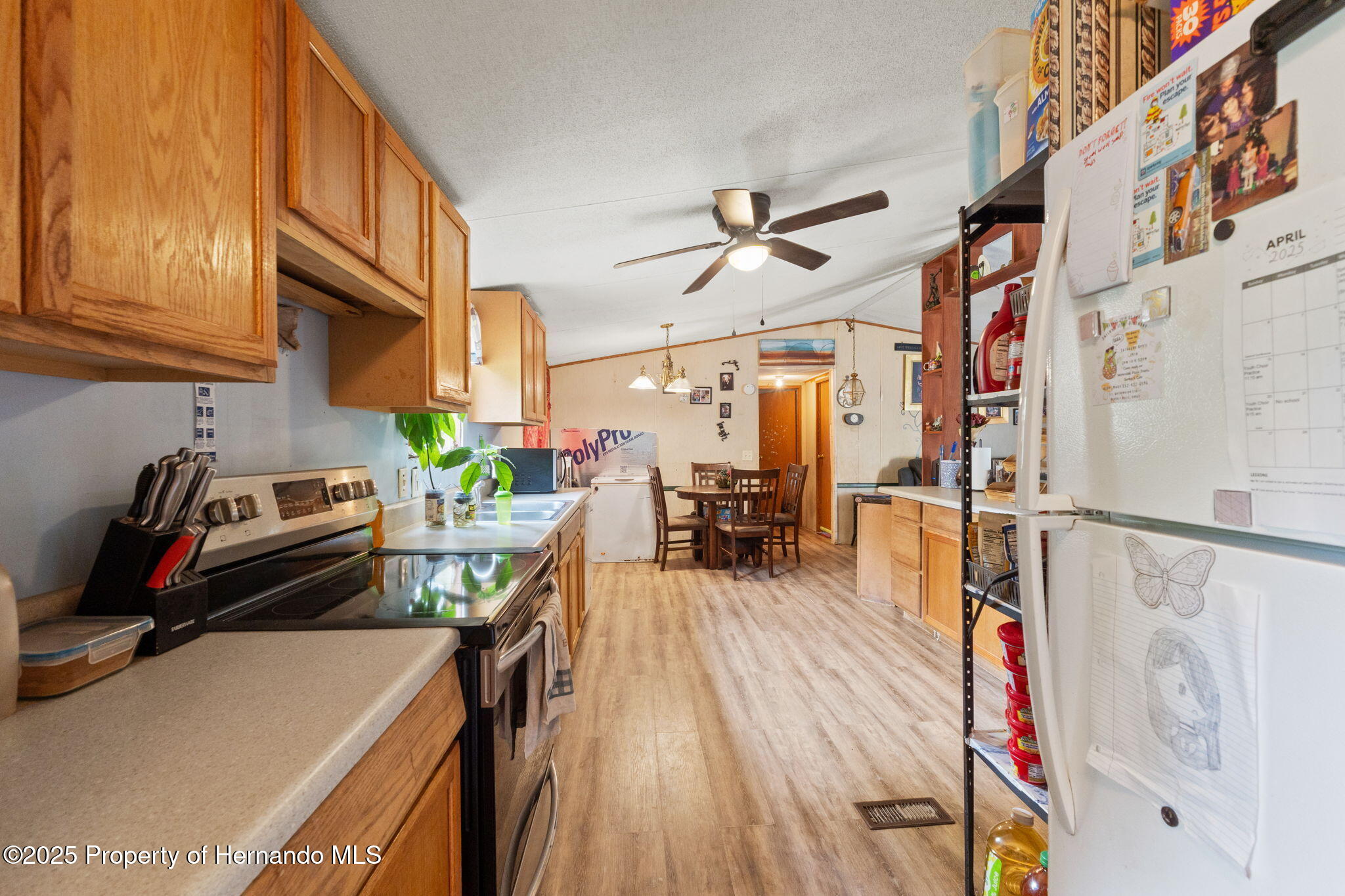 2249 E Goldpearl Lane, Hernando, Florida image 15