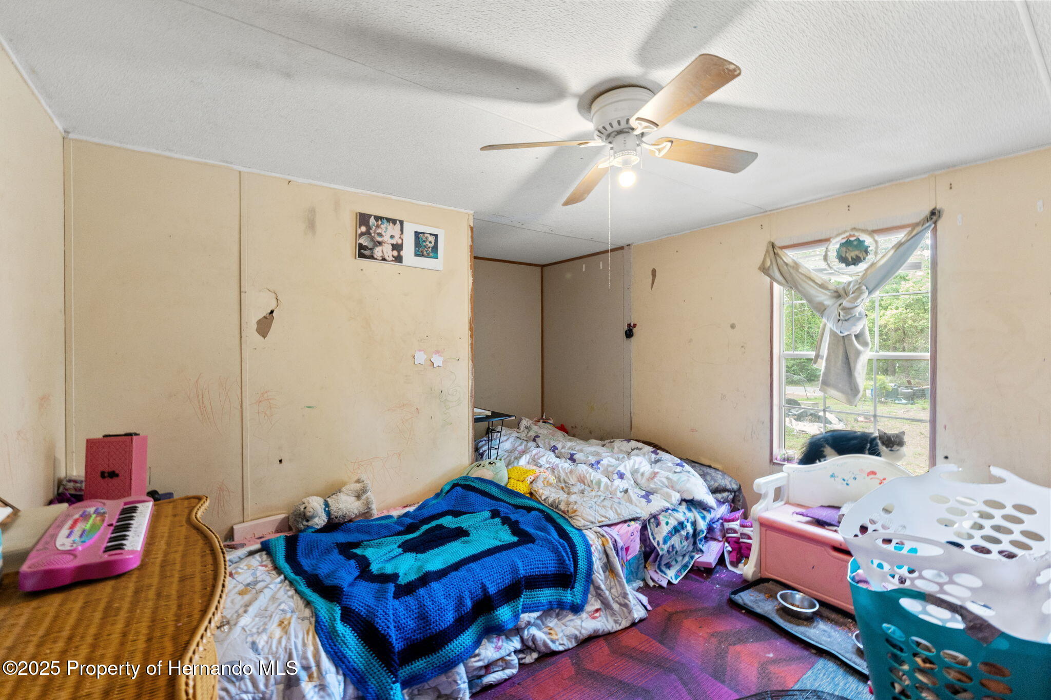 2249 E Goldpearl Lane, Hernando, Florida image 9
