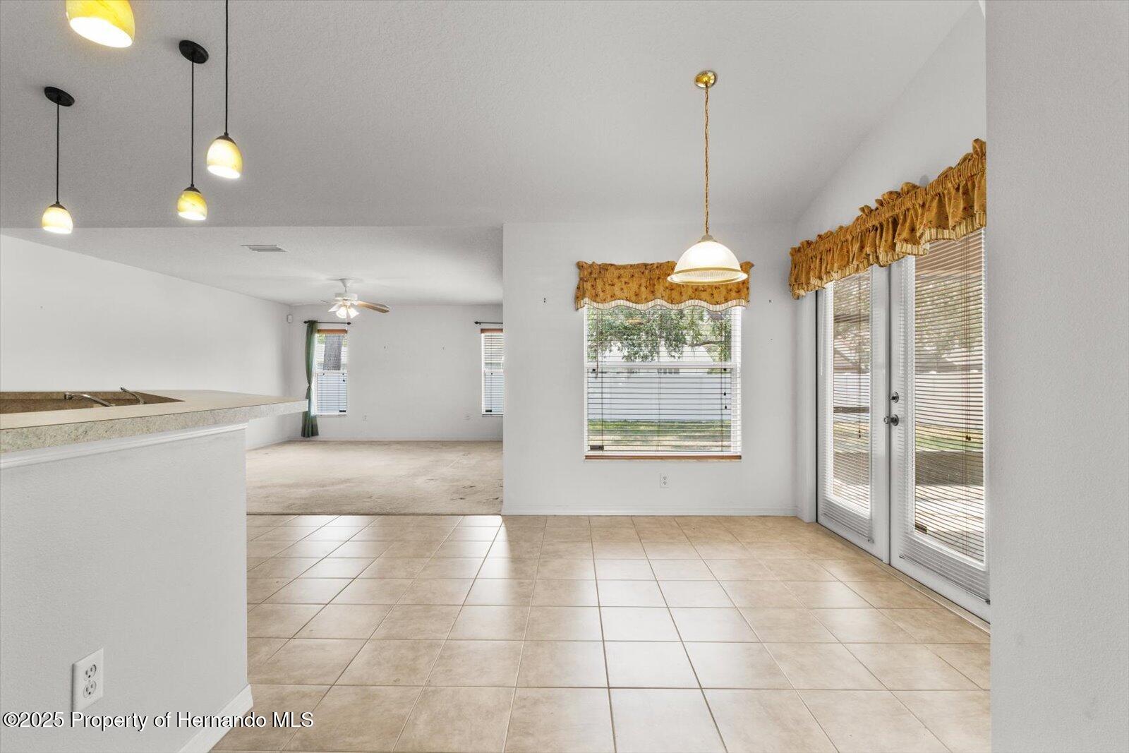 4335 Duval Street, Spring Hill, Florida image 9