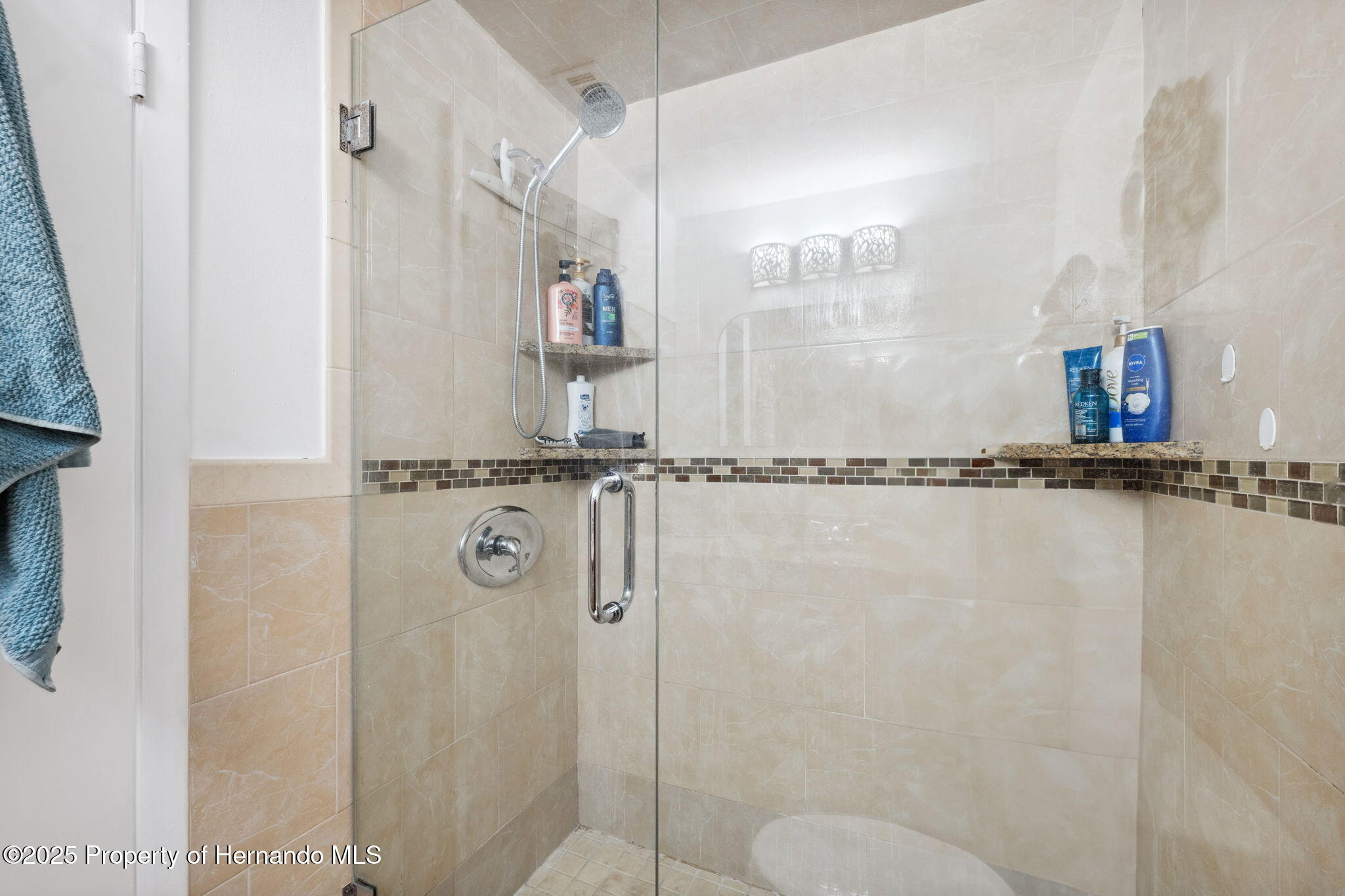 11402 Shallowbrook Place, Tampa, Florida image 18