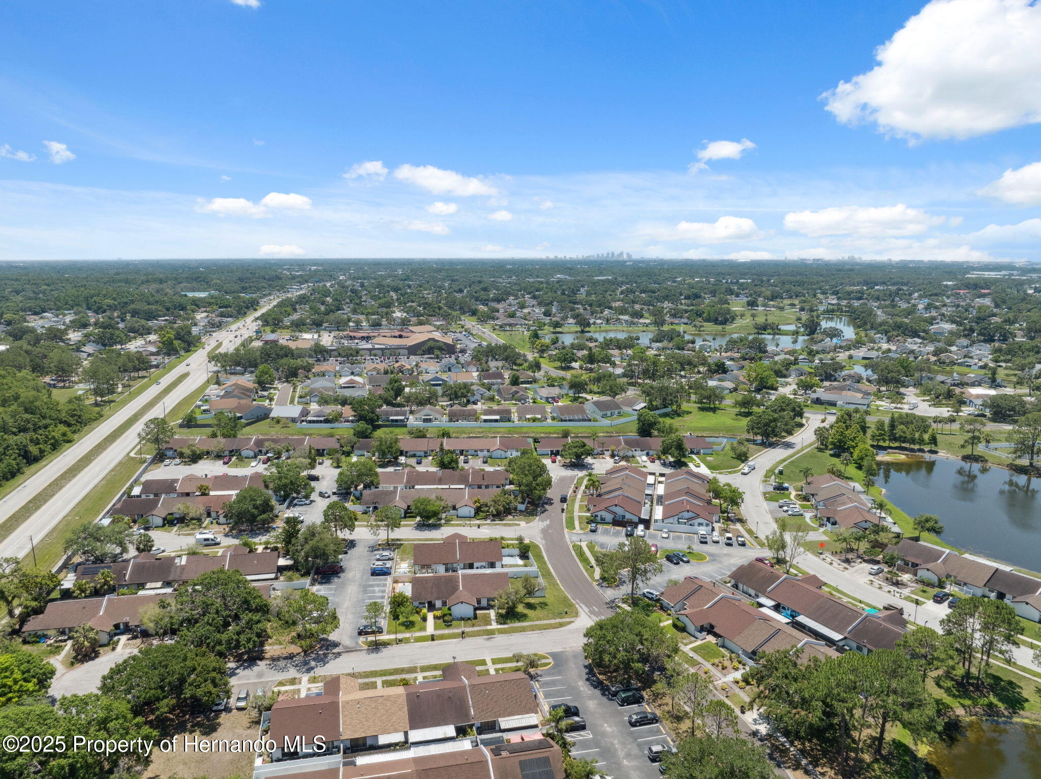 11402 Shallowbrook Place, Tampa, Florida image 33