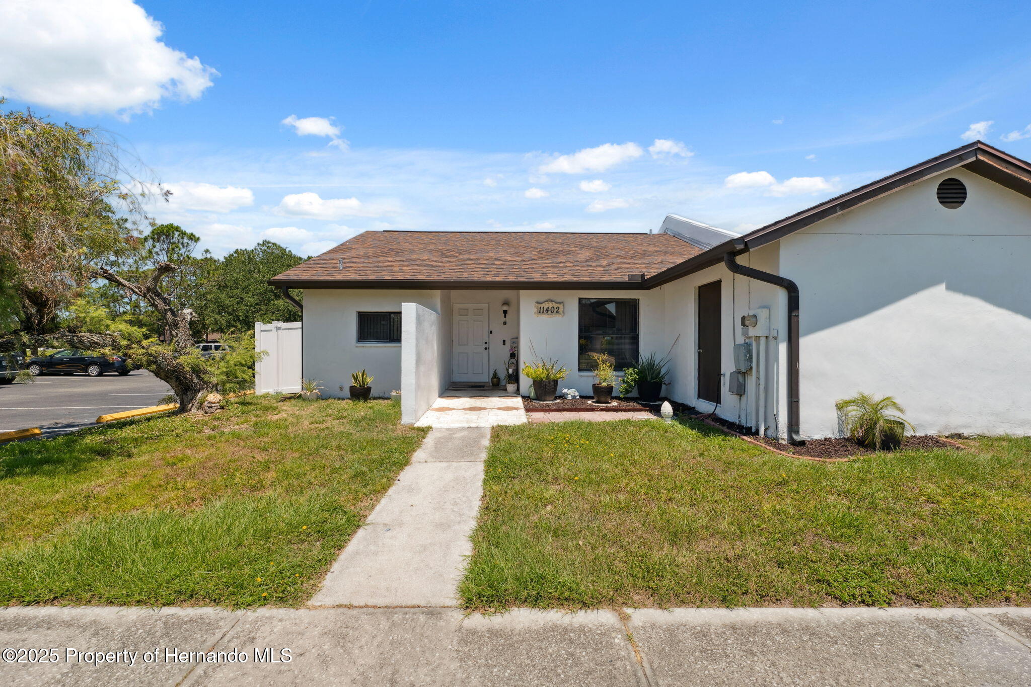 11402 Shallowbrook Place, Tampa, Florida image 6