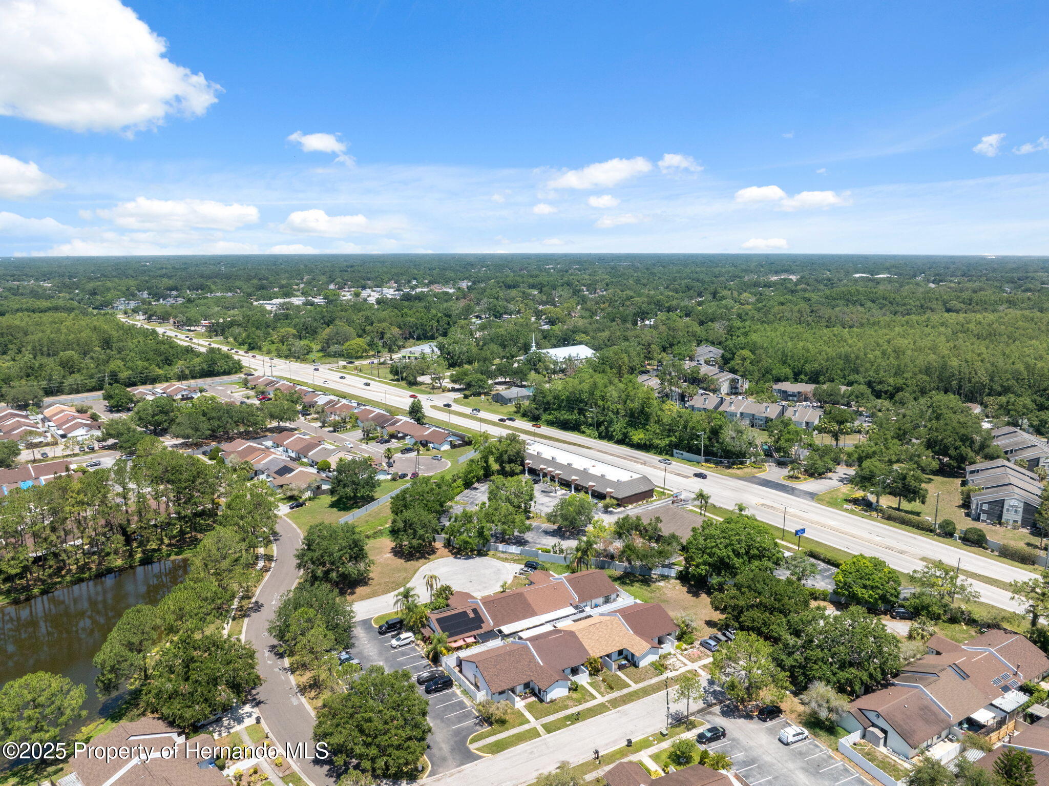 11402 Shallowbrook Place, Tampa, Florida image 41
