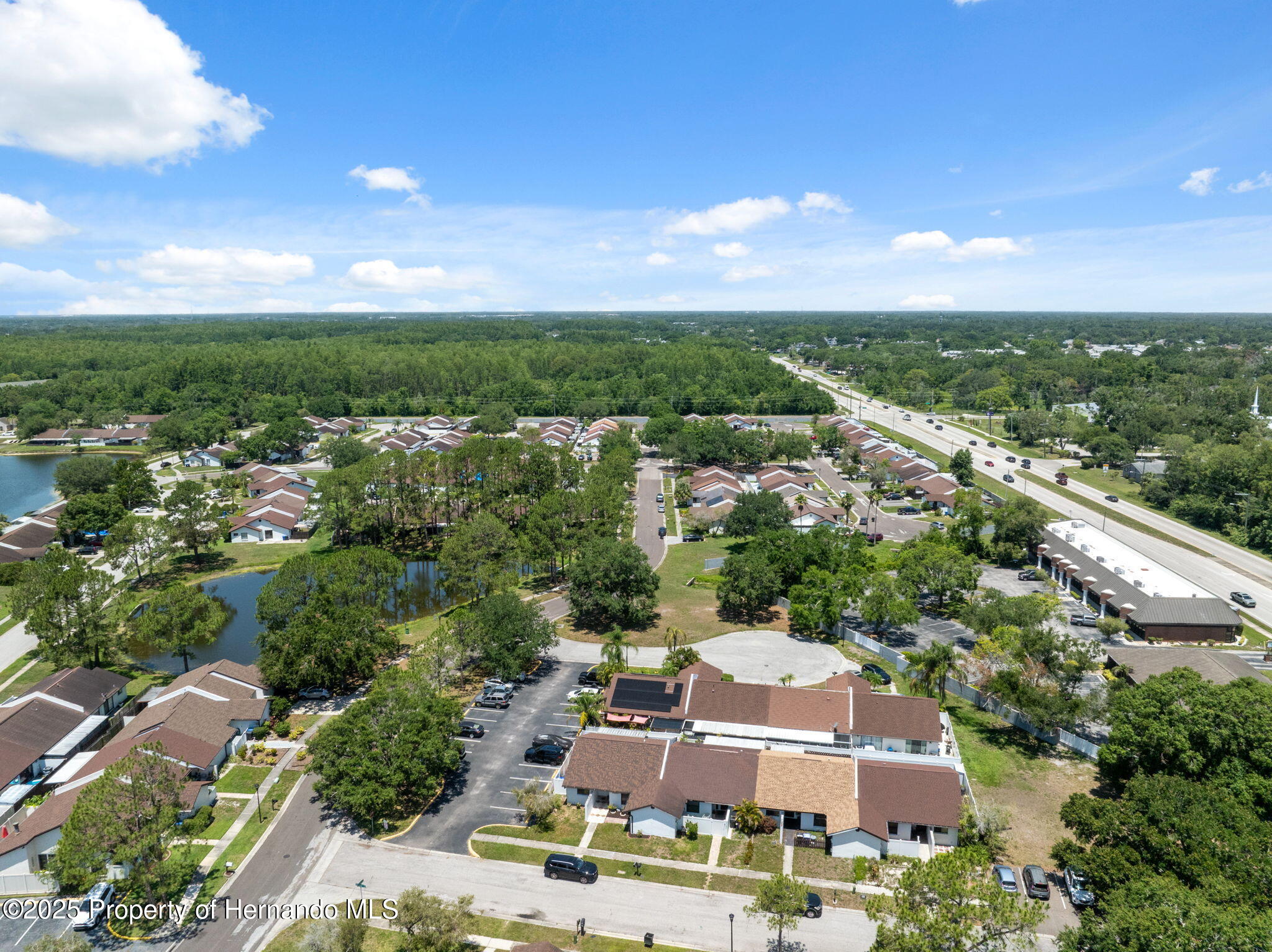 11402 Shallowbrook Place, Tampa, Florida image 42