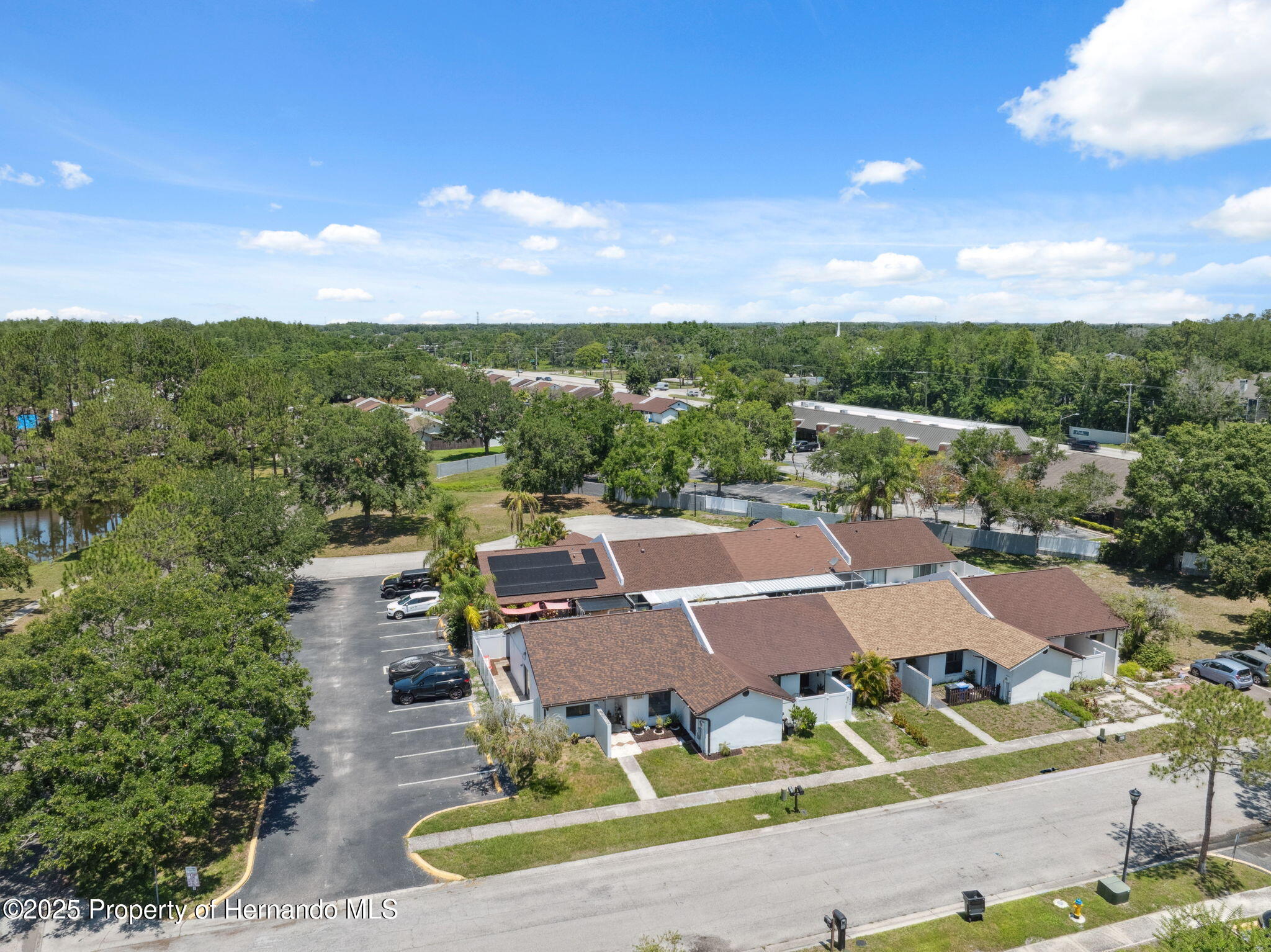 11402 Shallowbrook Place, Tampa, Florida image 32
