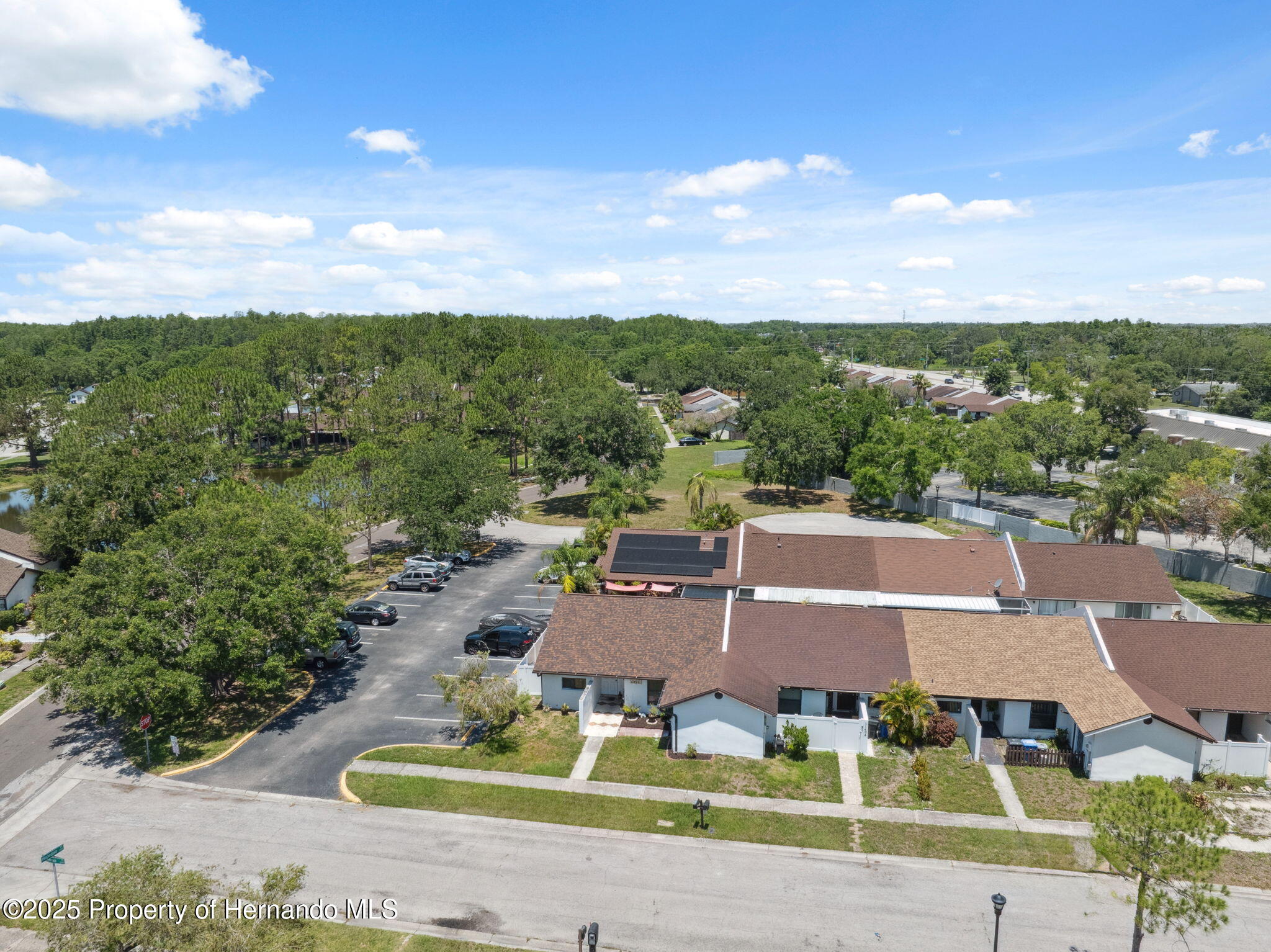 11402 Shallowbrook Place, Tampa, Florida image 31